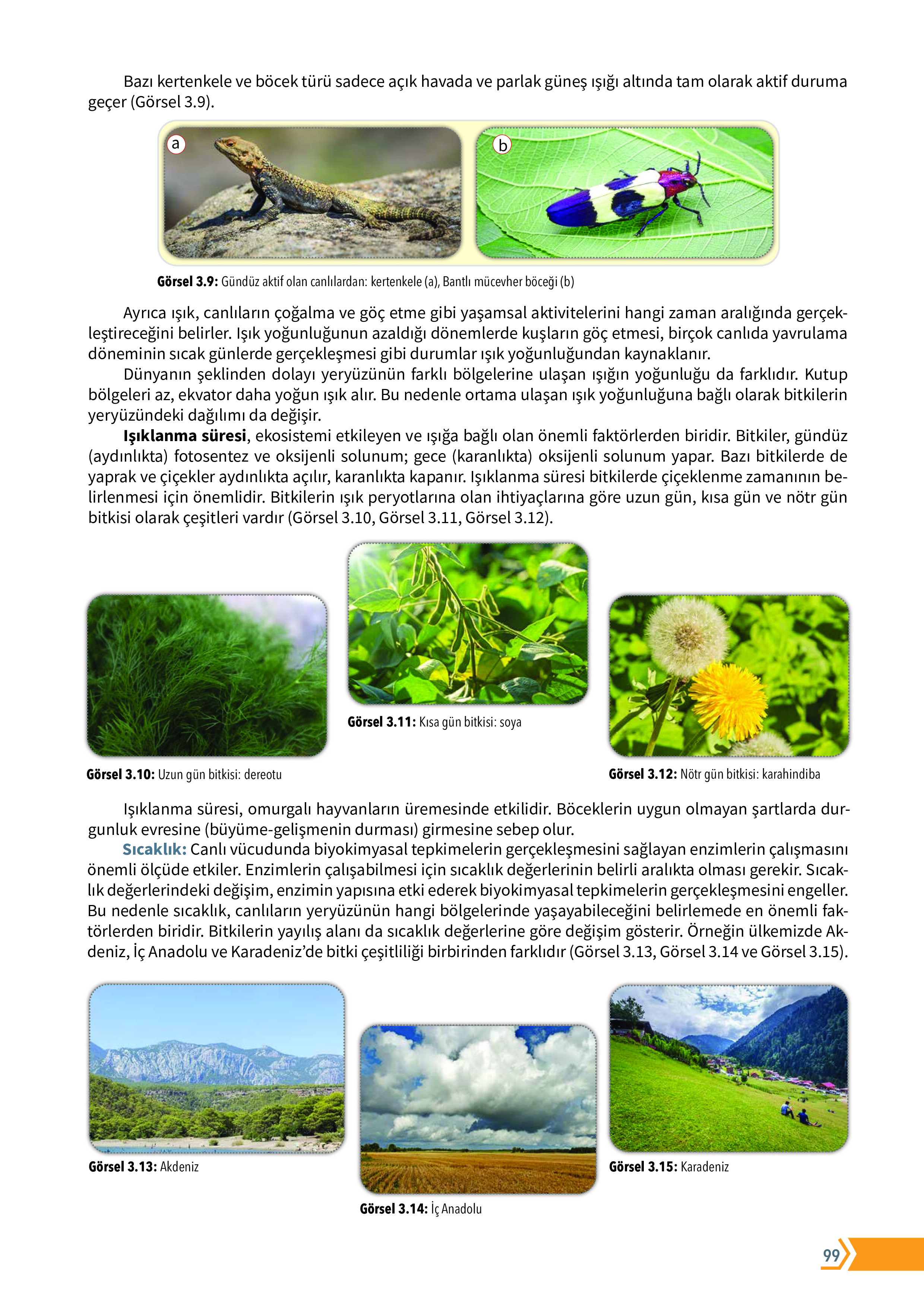 10. Sınıf Meb Yayınları Fen Lisesi Biyoloji Ders Kitabı Sayfa 99 Cevapları 10. Sınıf Meb Yayınları Fen Lisesi Biyoloji Ders Kitabı Sayfa 99 Cevapları