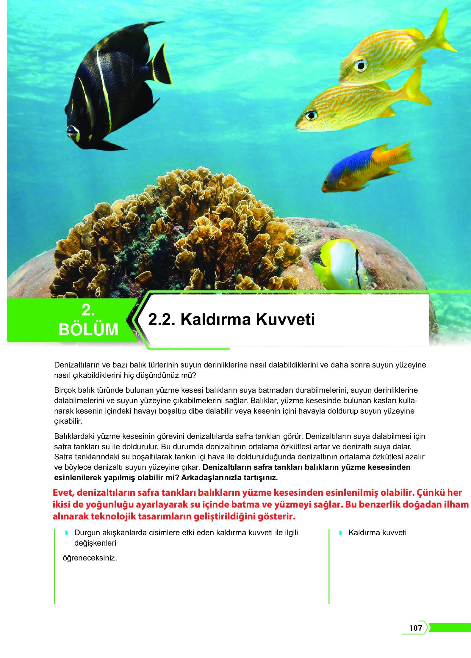 10. Sınıf Meb Yayınları Fen Lisesi Fizik Ders Kitabı Sayfa 107 Cevapları 10. Sınıf Meb Yayınları Fen Lisesi Fizik Ders Kitabı Sayfa 107 Cevapları