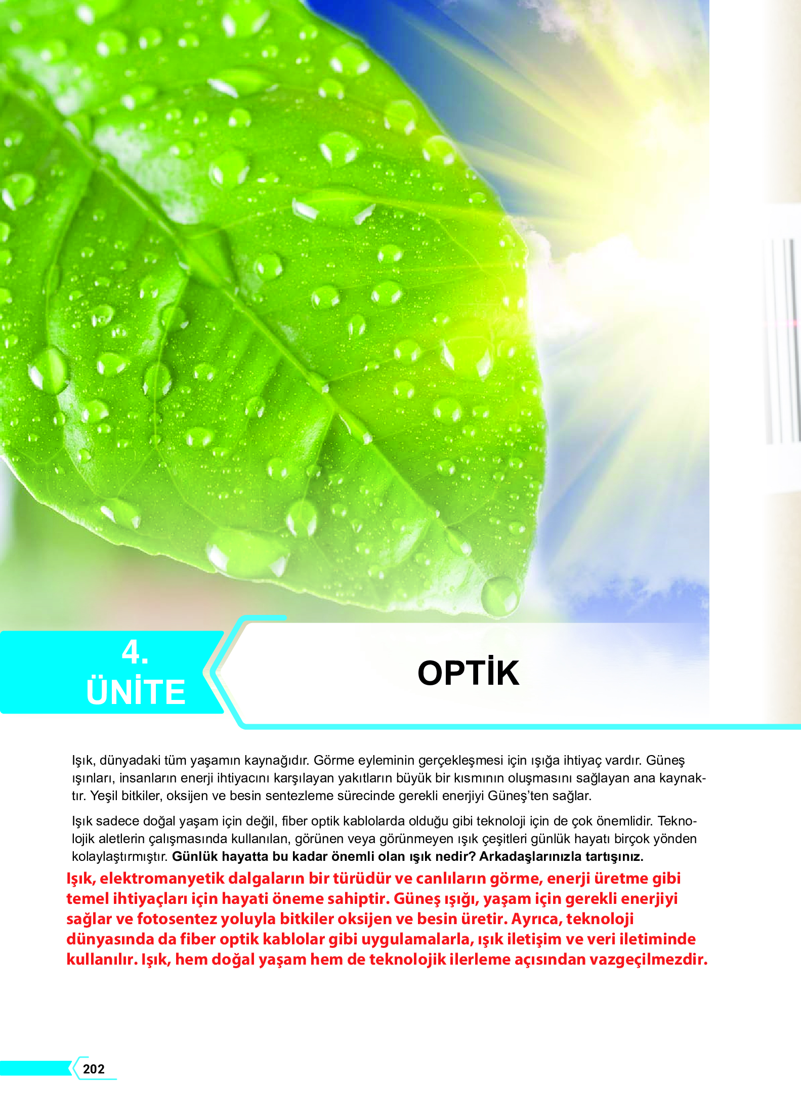 10. Sınıf Meb Yayınları Fen Lisesi Fizik Ders Kitabı Sayfa 202 Cevapları