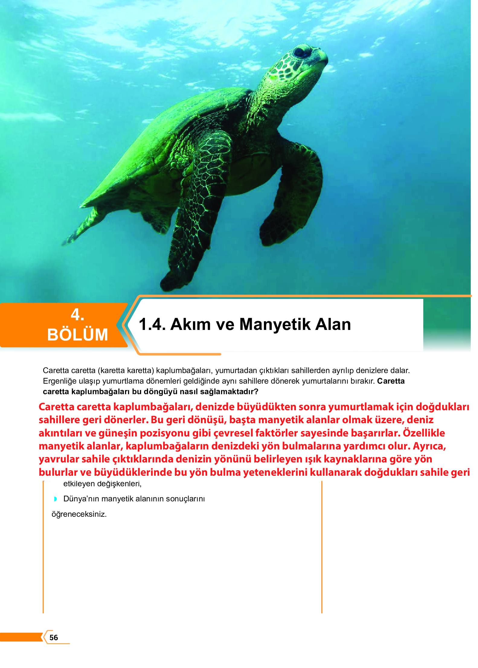 10. Sınıf Meb Yayınları Fen Lisesi Fizik Ders Kitabı Sayfa 56 Cevapları