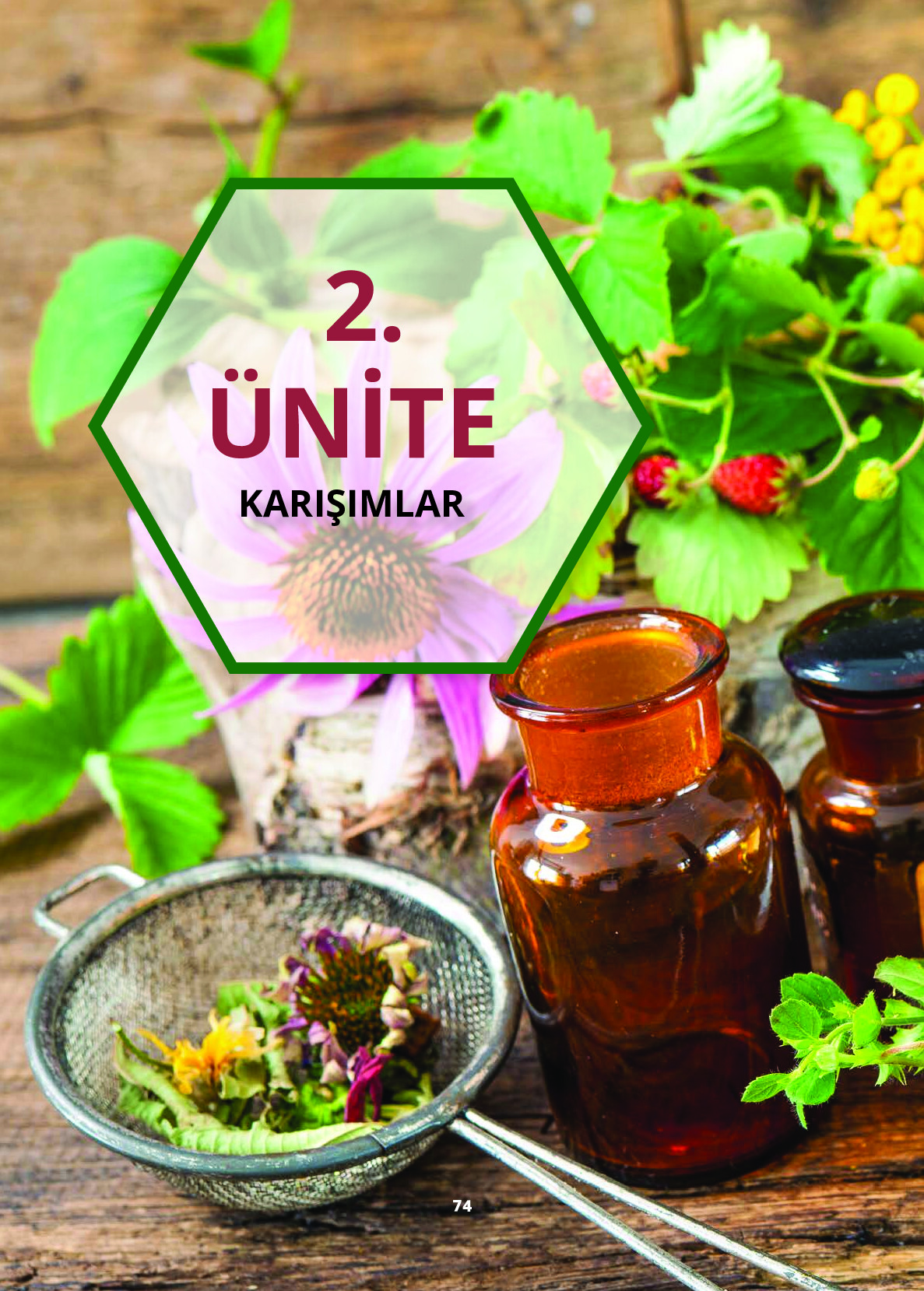 10. Sınıf Meb Yayınları Fen Lisesi Kimya Ders Kitabı Sayfa 74 Cevapları 10. Sınıf Meb Yayınları Fen Lisesi Kimya Ders Kitabı Sayfa 74 Cevapları