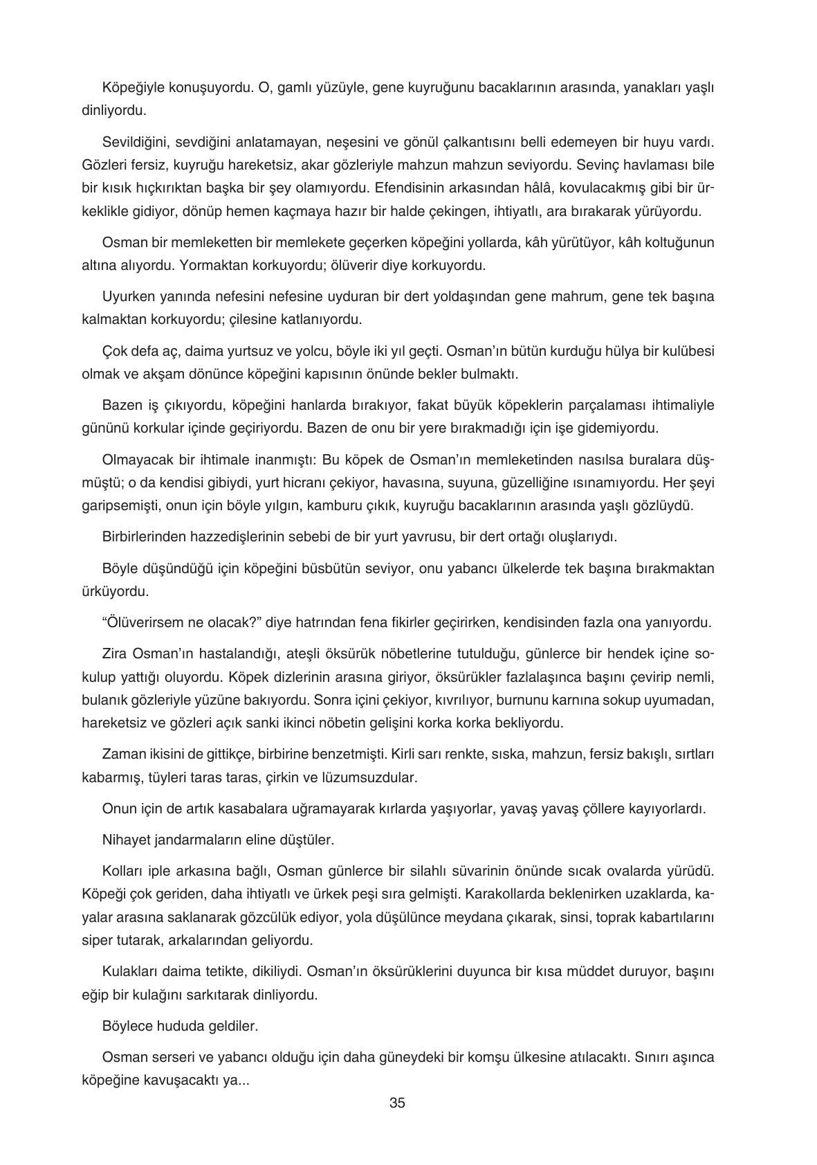 11. Sınıf Gizem Yayınları Türk Dili Ve Edebiyatı Ders Kitabı Sayfa 35 Cevapları