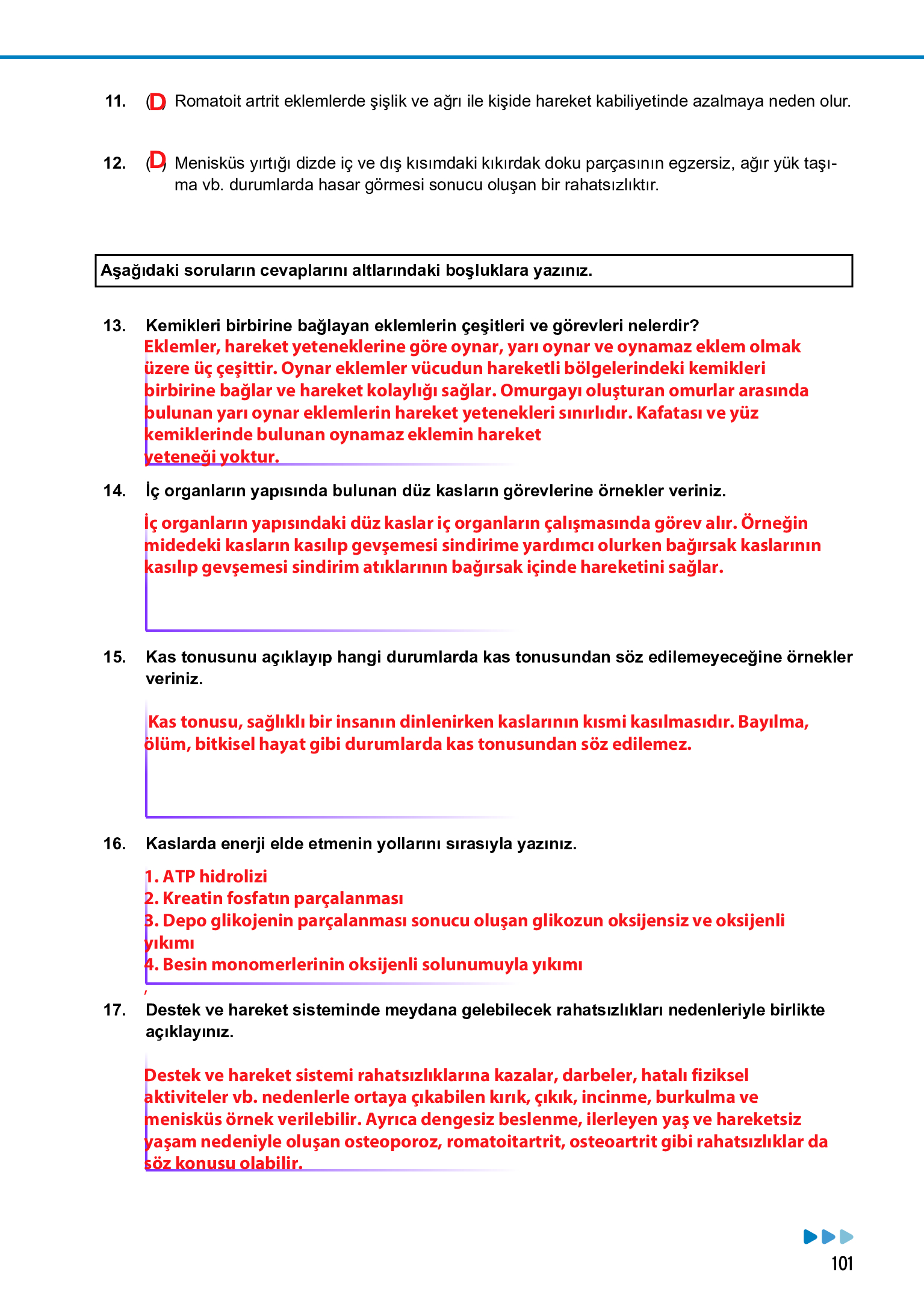 11. Sınıf Meb Yayınları Fen Lisesi Biyoloji Ders Kitabı Sayfa 101 Cevapları 11. Sınıf Meb Yayınları Fen Lisesi Biyoloji Ders Kitabı Sayfa 101 Cevapları