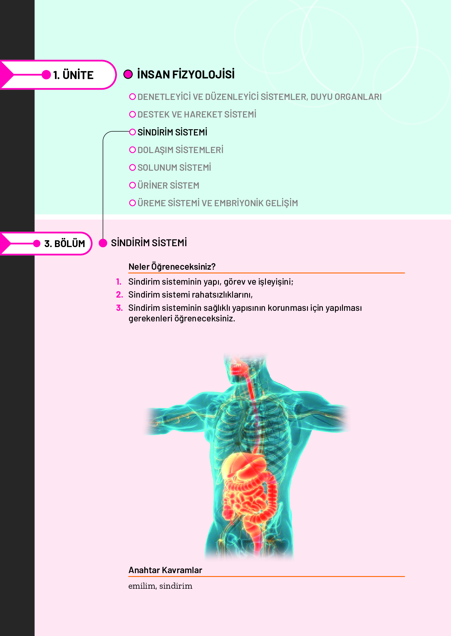 11. Sınıf Meb Yayınları Fen Lisesi Biyoloji Ders Kitabı Sayfa 104 Cevapları