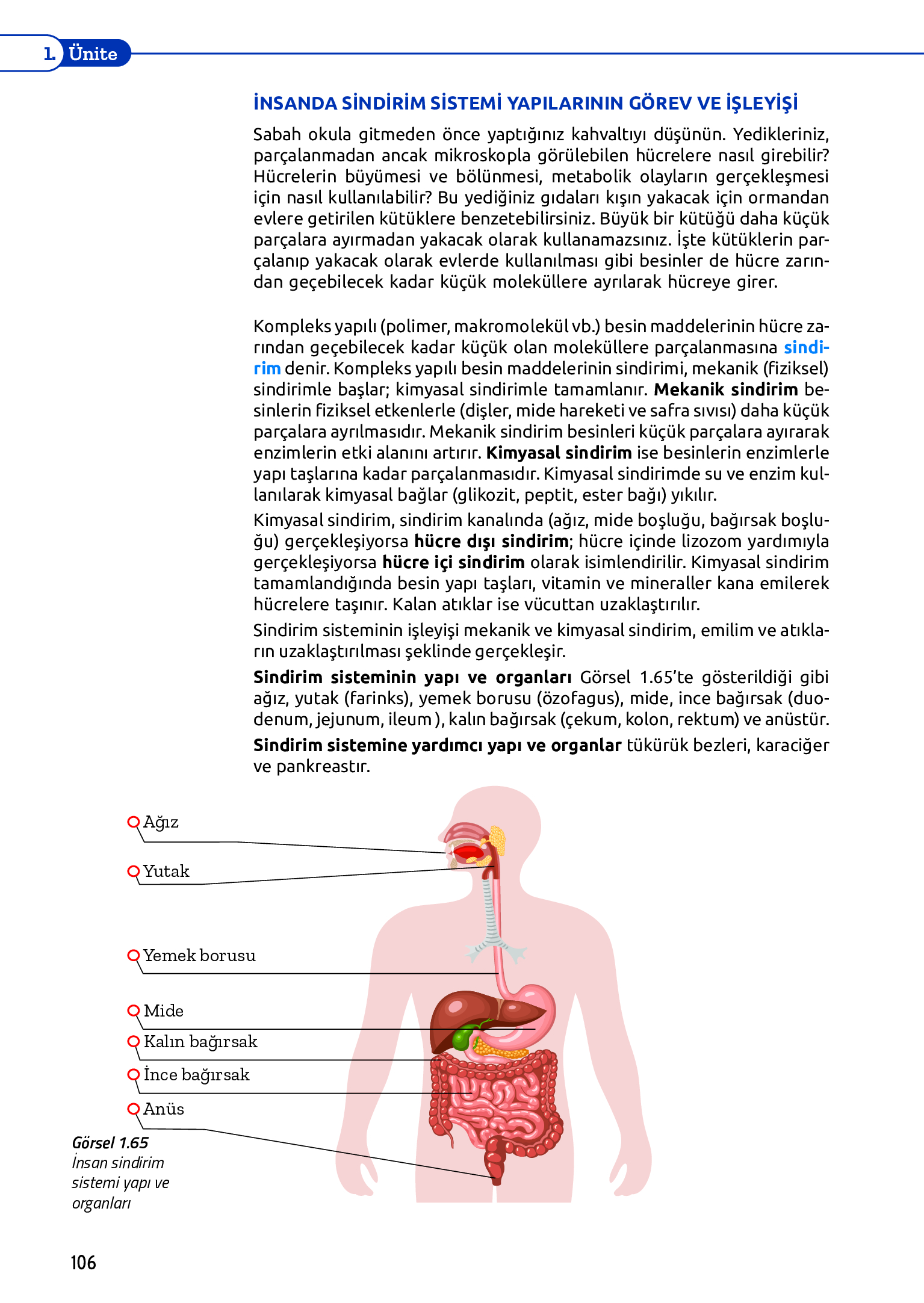 11. Sınıf Meb Yayınları Fen Lisesi Biyoloji Ders Kitabı Sayfa 106 Cevapları 11. Sınıf Meb Yayınları Fen Lisesi Biyoloji Ders Kitabı Sayfa 106 Cevapları