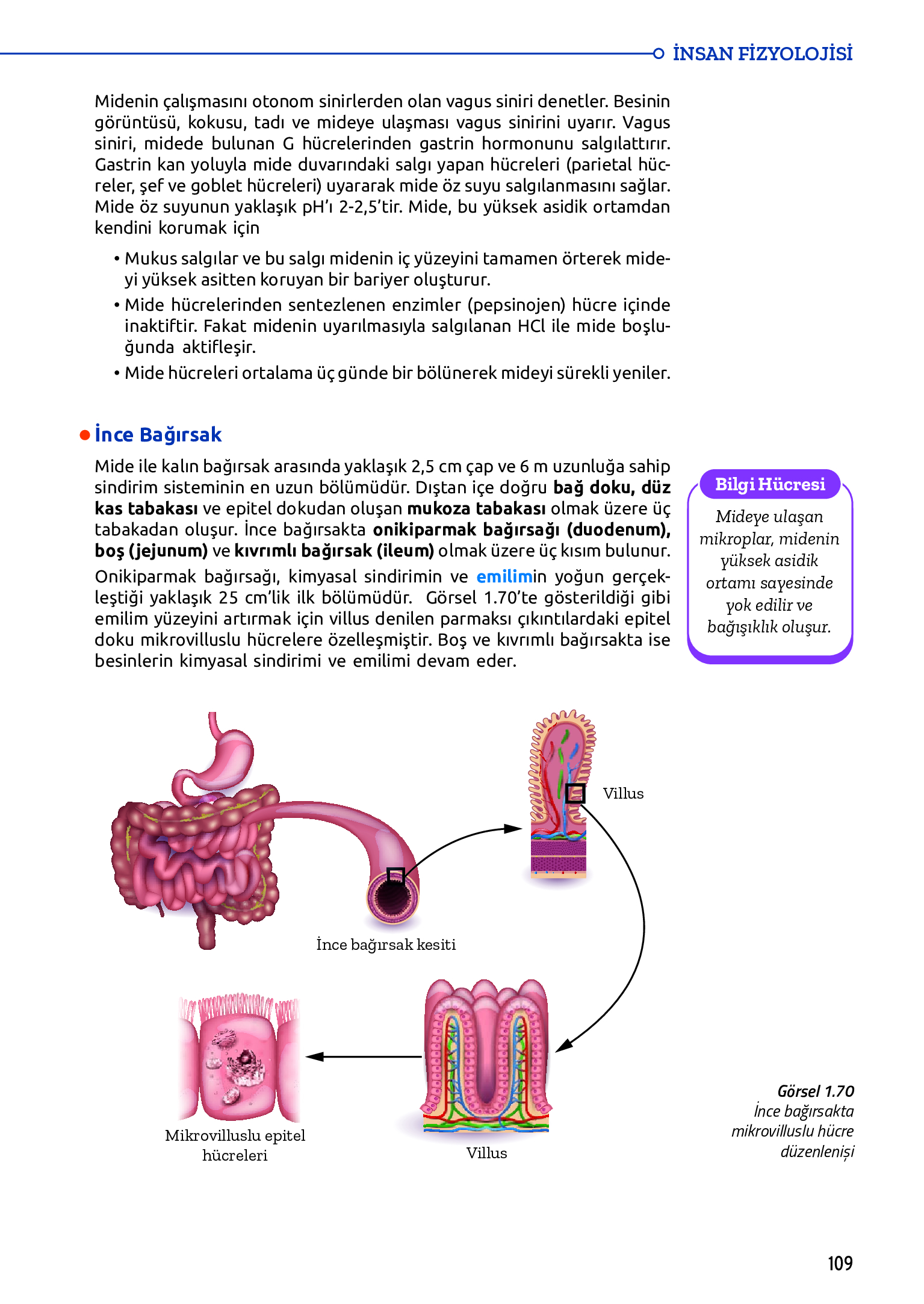 11. Sınıf Meb Yayınları Fen Lisesi Biyoloji Ders Kitabı Sayfa 109 Cevapları 11. Sınıf Meb Yayınları Fen Lisesi Biyoloji Ders Kitabı Sayfa 109 Cevapları