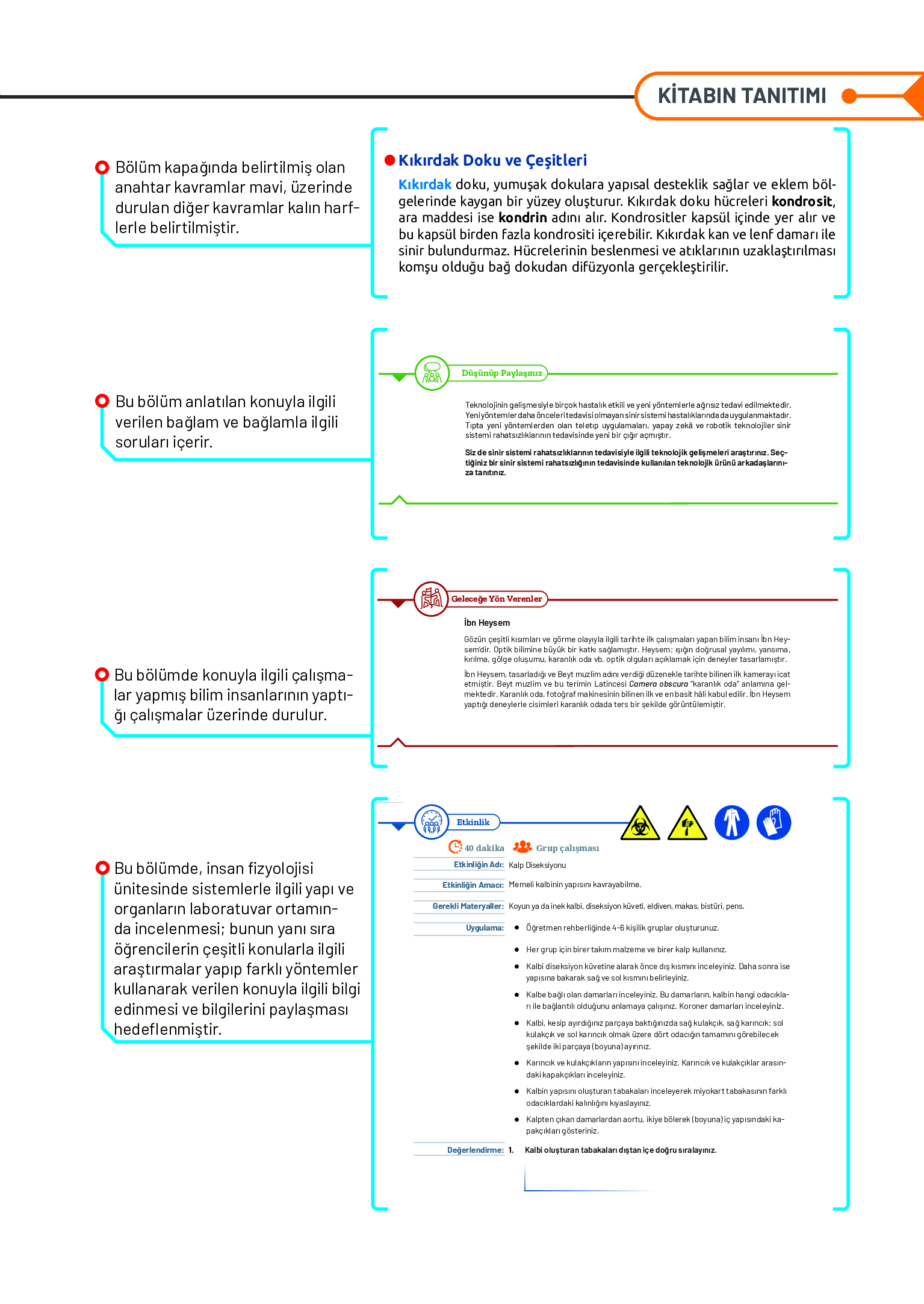 11. Sınıf Meb Yayınları Fen Lisesi Biyoloji Ders Kitabı Sayfa 11 Cevapları