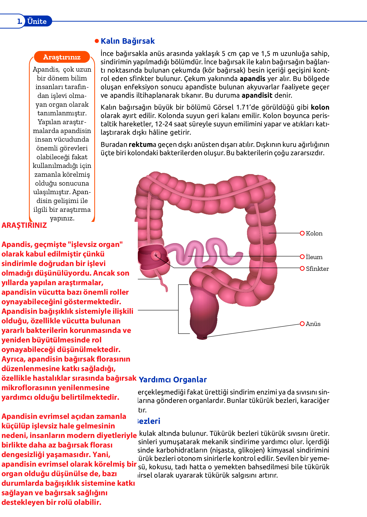 11. Sınıf Meb Yayınları Fen Lisesi Biyoloji Ders Kitabı Sayfa 110 Cevapları 11. Sınıf Meb Yayınları Fen Lisesi Biyoloji Ders Kitabı Sayfa 110 Cevapları