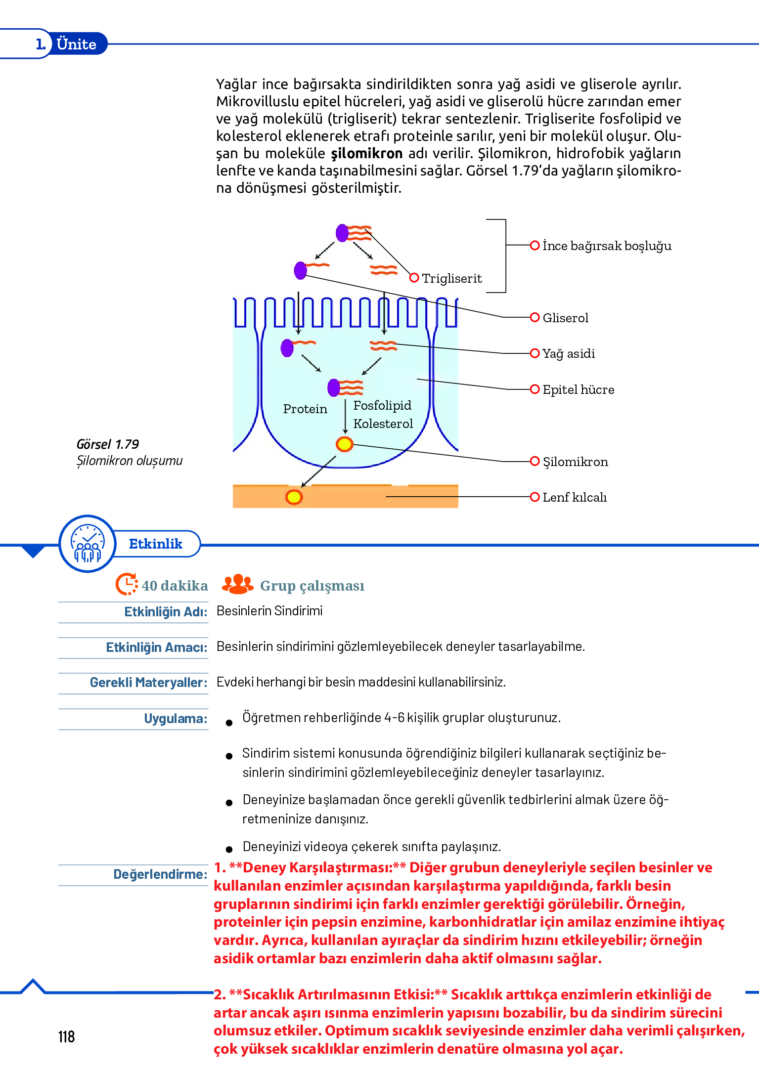 11. Sınıf Meb Yayınları Fen Lisesi Biyoloji Ders Kitabı Sayfa 118 Cevapları 11. Sınıf Meb Yayınları Fen Lisesi Biyoloji Ders Kitabı Sayfa 118 Cevapları