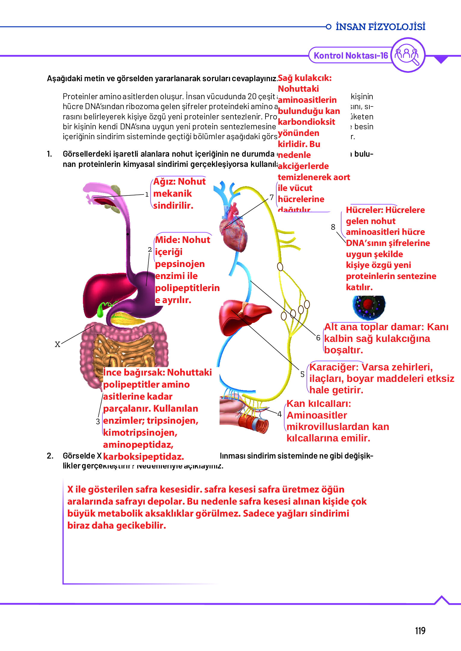 11. Sınıf Meb Yayınları Fen Lisesi Biyoloji Ders Kitabı Sayfa 119 Cevapları