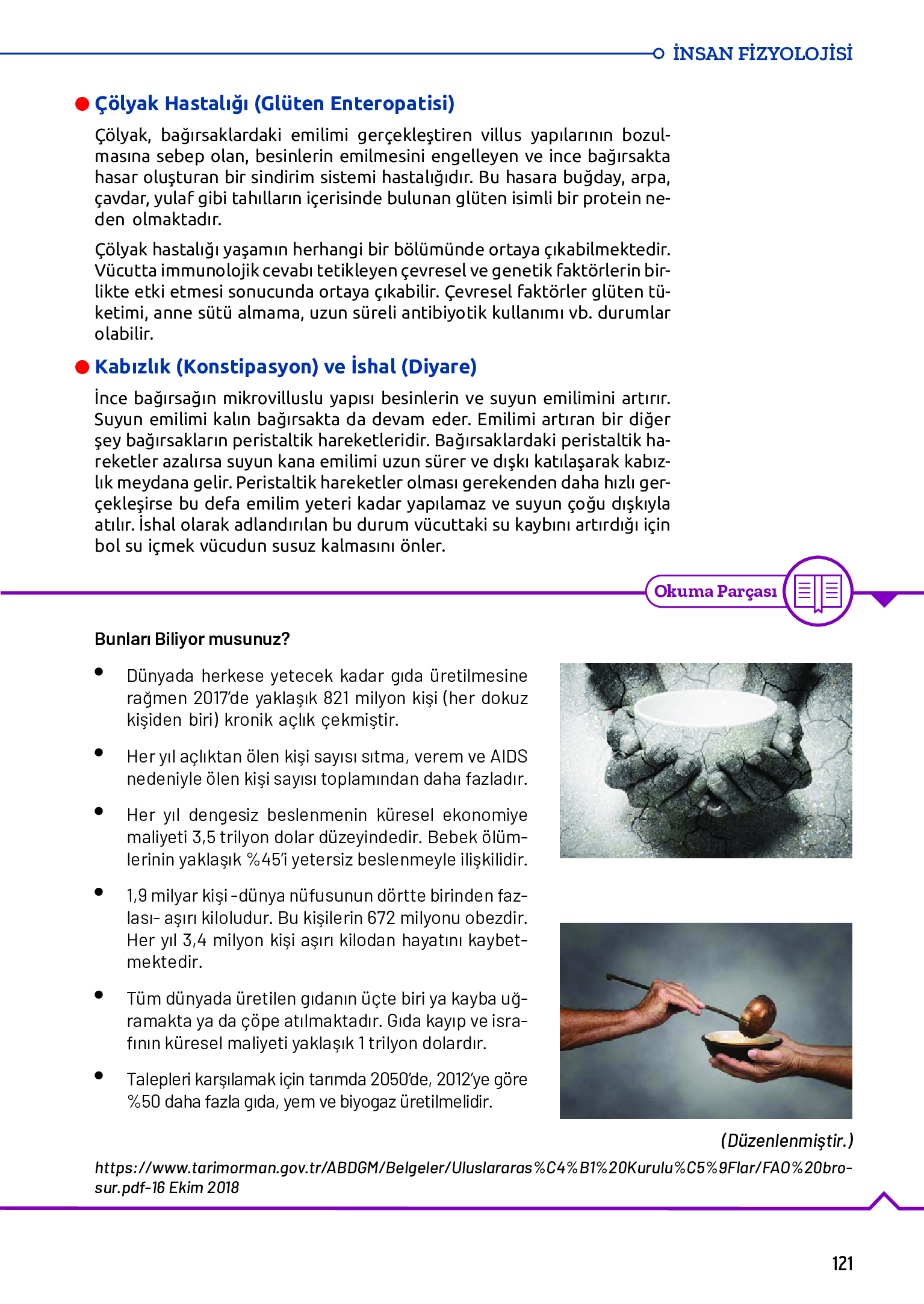 11. Sınıf Meb Yayınları Fen Lisesi Biyoloji Ders Kitabı Sayfa 121 Cevapları 11. Sınıf Meb Yayınları Fen Lisesi Biyoloji Ders Kitabı Sayfa 121 Cevapları