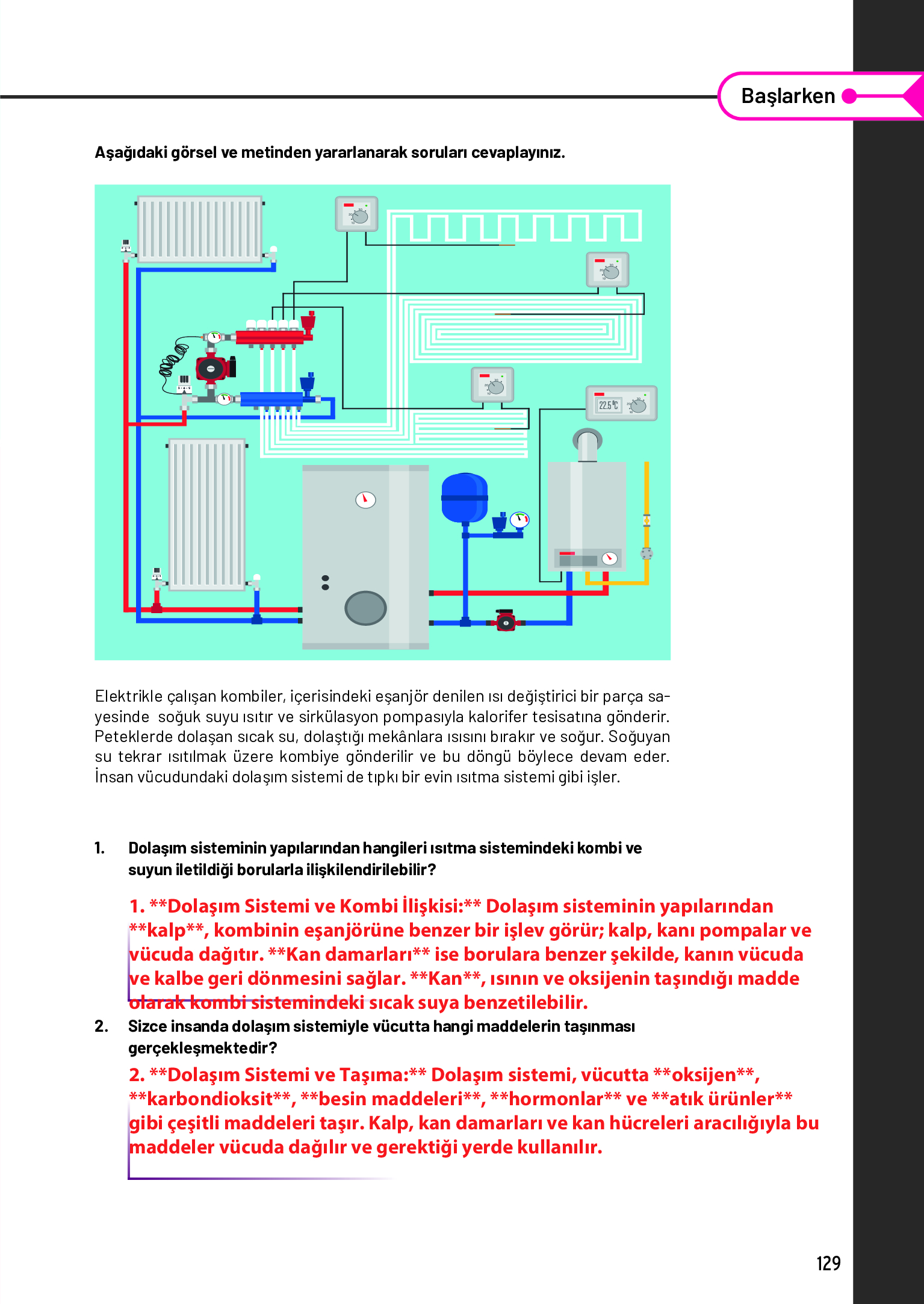 11. Sınıf Meb Yayınları Fen Lisesi Biyoloji Ders Kitabı Sayfa 129 Cevapları 11. Sınıf Meb Yayınları Fen Lisesi Biyoloji Ders Kitabı Sayfa 129 Cevapları