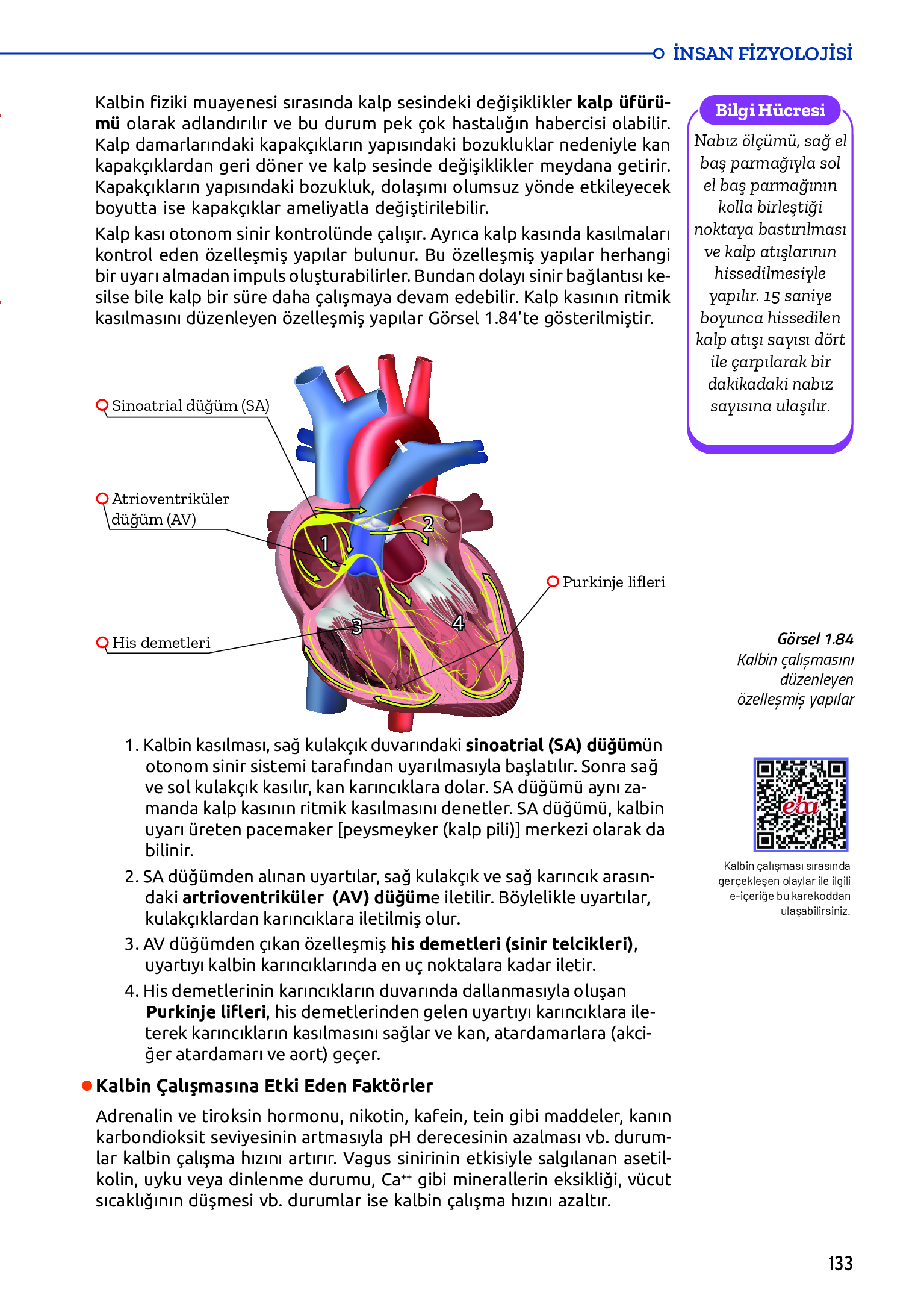 11. Sınıf Meb Yayınları Fen Lisesi Biyoloji Ders Kitabı Sayfa 133 Cevapları