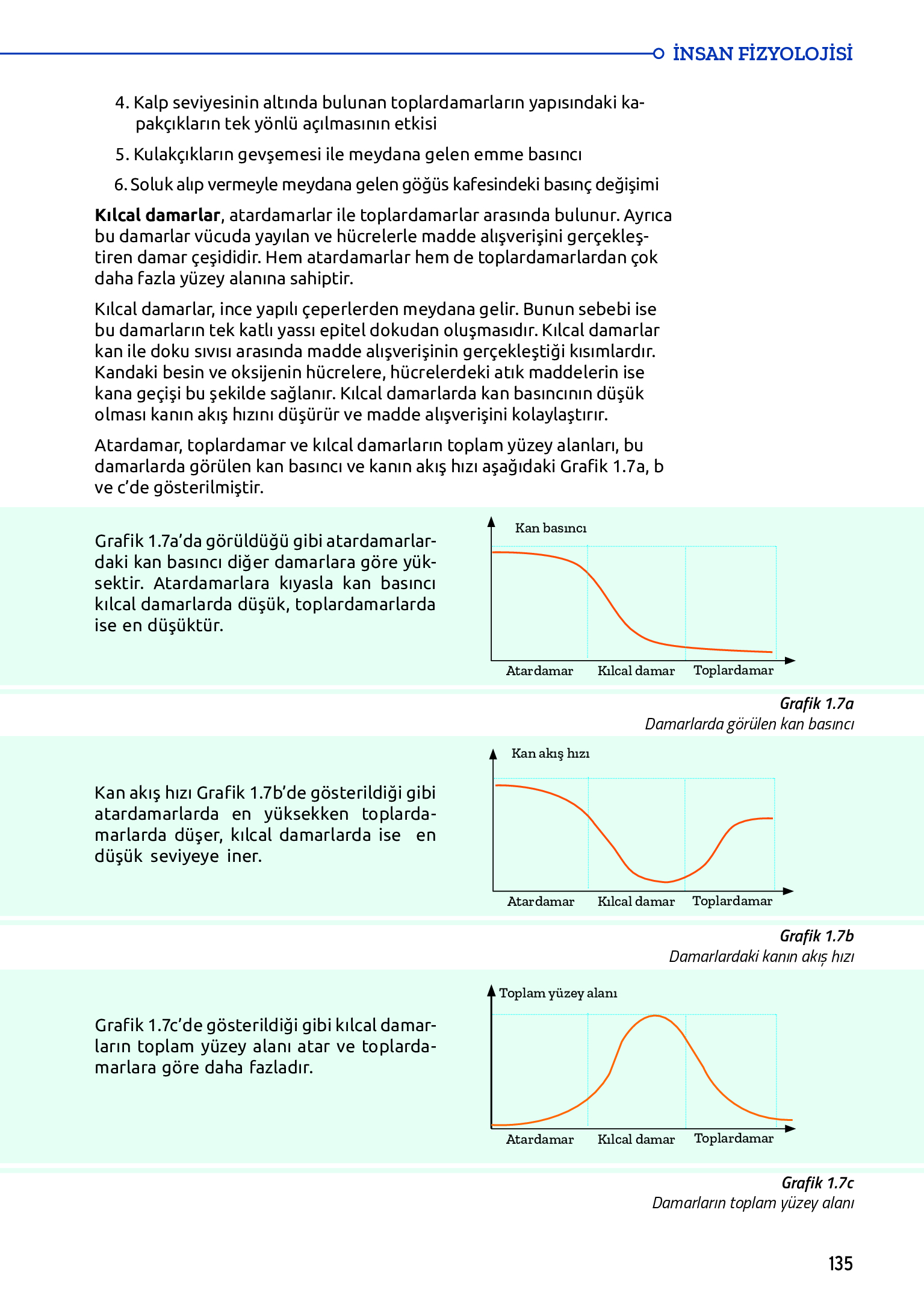 11. Sınıf Meb Yayınları Fen Lisesi Biyoloji Ders Kitabı Sayfa 135 Cevapları 11. Sınıf Meb Yayınları Fen Lisesi Biyoloji Ders Kitabı Sayfa 135 Cevapları