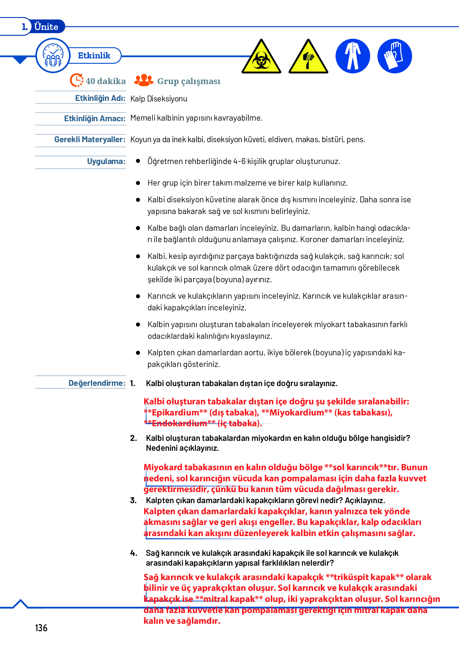11. Sınıf Meb Yayınları Fen Lisesi Biyoloji Ders Kitabı Sayfa 136 Cevapları 11. Sınıf Meb Yayınları Fen Lisesi Biyoloji Ders Kitabı Sayfa 136 Cevapları