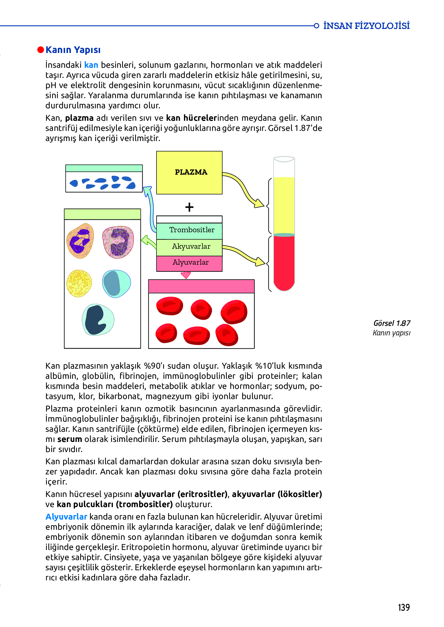 11. Sınıf Meb Yayınları Fen Lisesi Biyoloji Ders Kitabı Sayfa 139 Cevapları 11. Sınıf Meb Yayınları Fen Lisesi Biyoloji Ders Kitabı Sayfa 139 Cevapları