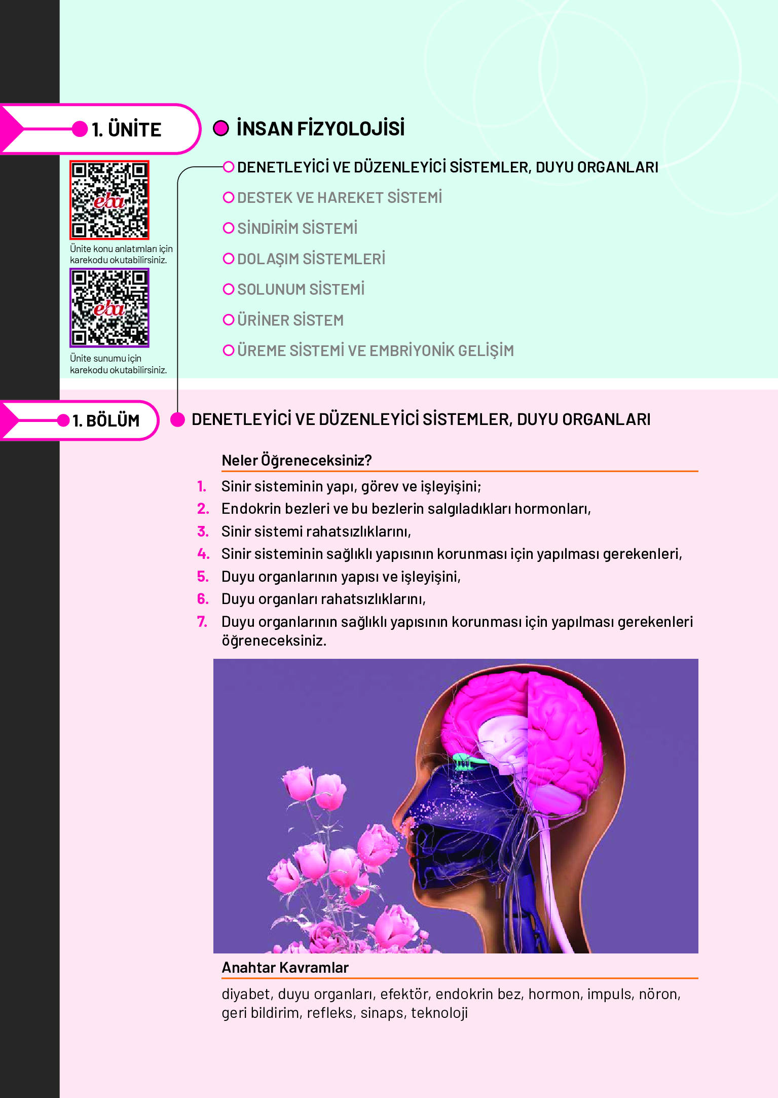 11. Sınıf Meb Yayınları Fen Lisesi Biyoloji Ders Kitabı Sayfa 14 Cevapları 11. Sınıf Meb Yayınları Fen Lisesi Biyoloji Ders Kitabı Sayfa 14 Cevapları
