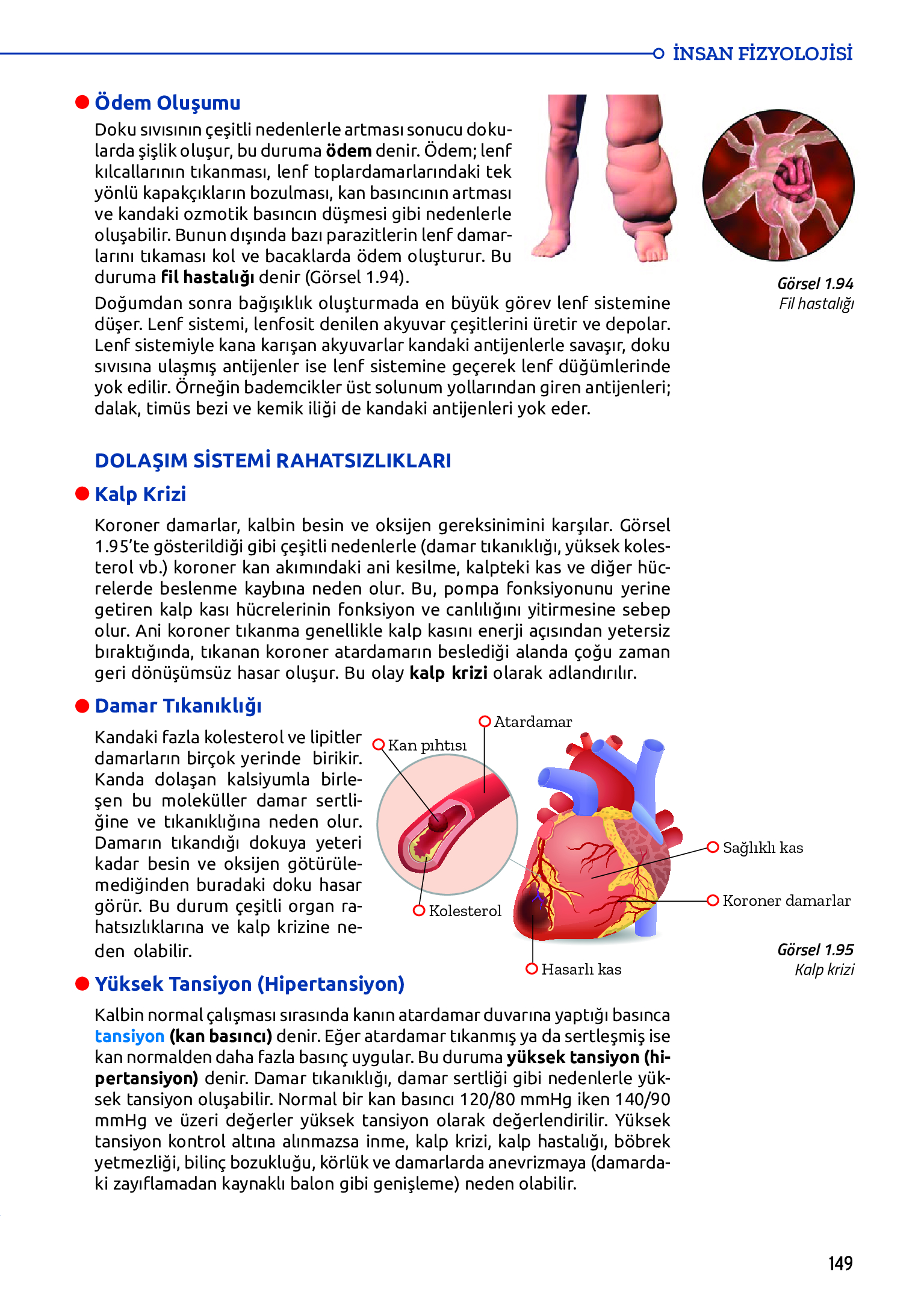 11. Sınıf Meb Yayınları Fen Lisesi Biyoloji Ders Kitabı Sayfa 149 Cevapları