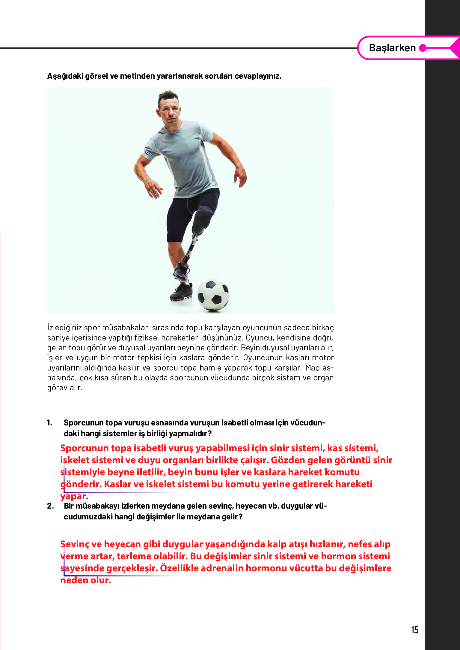 11. Sınıf Meb Yayınları Fen Lisesi Biyoloji Ders Kitabı Sayfa 15 Cevapları 11. Sınıf Meb Yayınları Fen Lisesi Biyoloji Ders Kitabı Sayfa 15 Cevapları