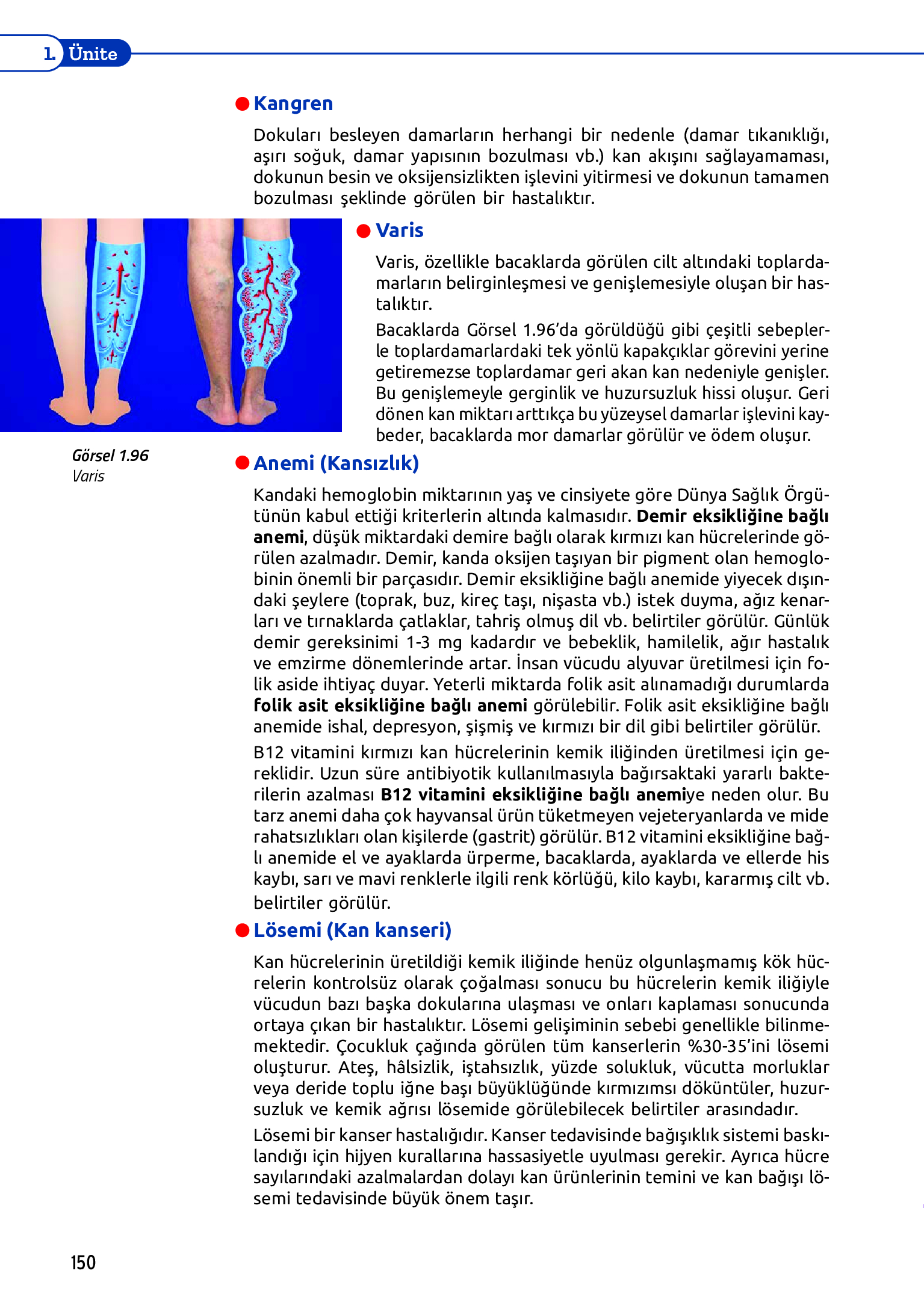11. Sınıf Meb Yayınları Fen Lisesi Biyoloji Ders Kitabı Sayfa 150 Cevapları 11. Sınıf Meb Yayınları Fen Lisesi Biyoloji Ders Kitabı Sayfa 150 Cevapları