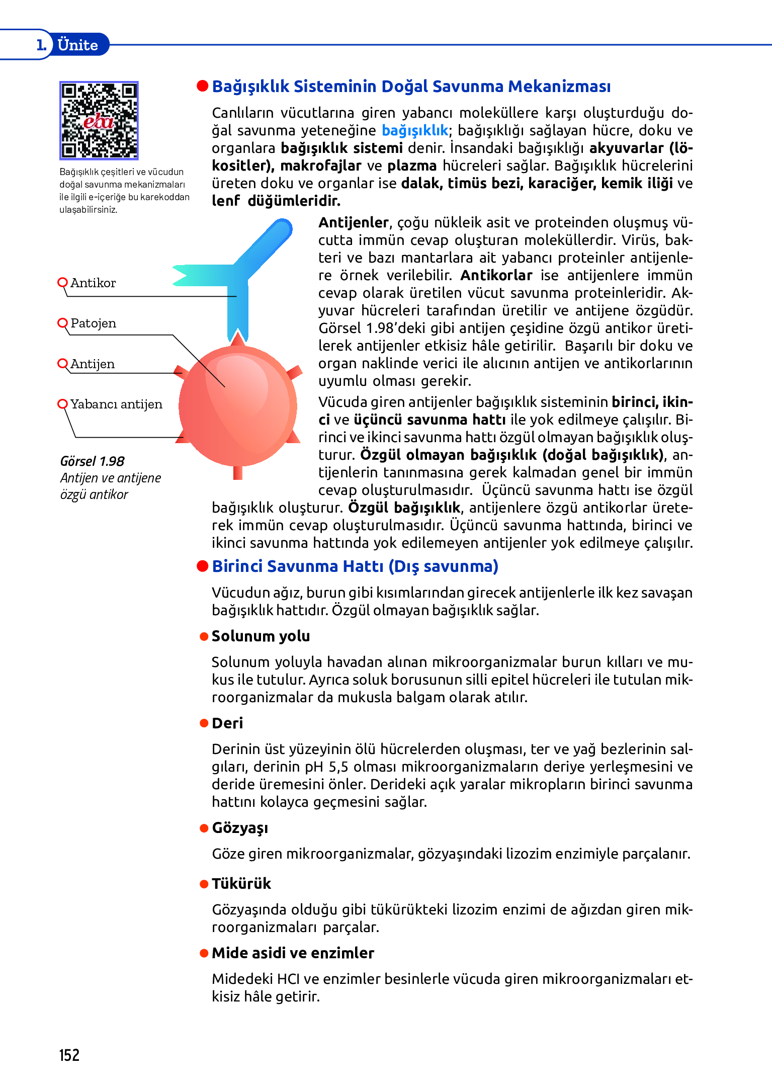 11. Sınıf Meb Yayınları Fen Lisesi Biyoloji Ders Kitabı Sayfa 152 Cevapları
