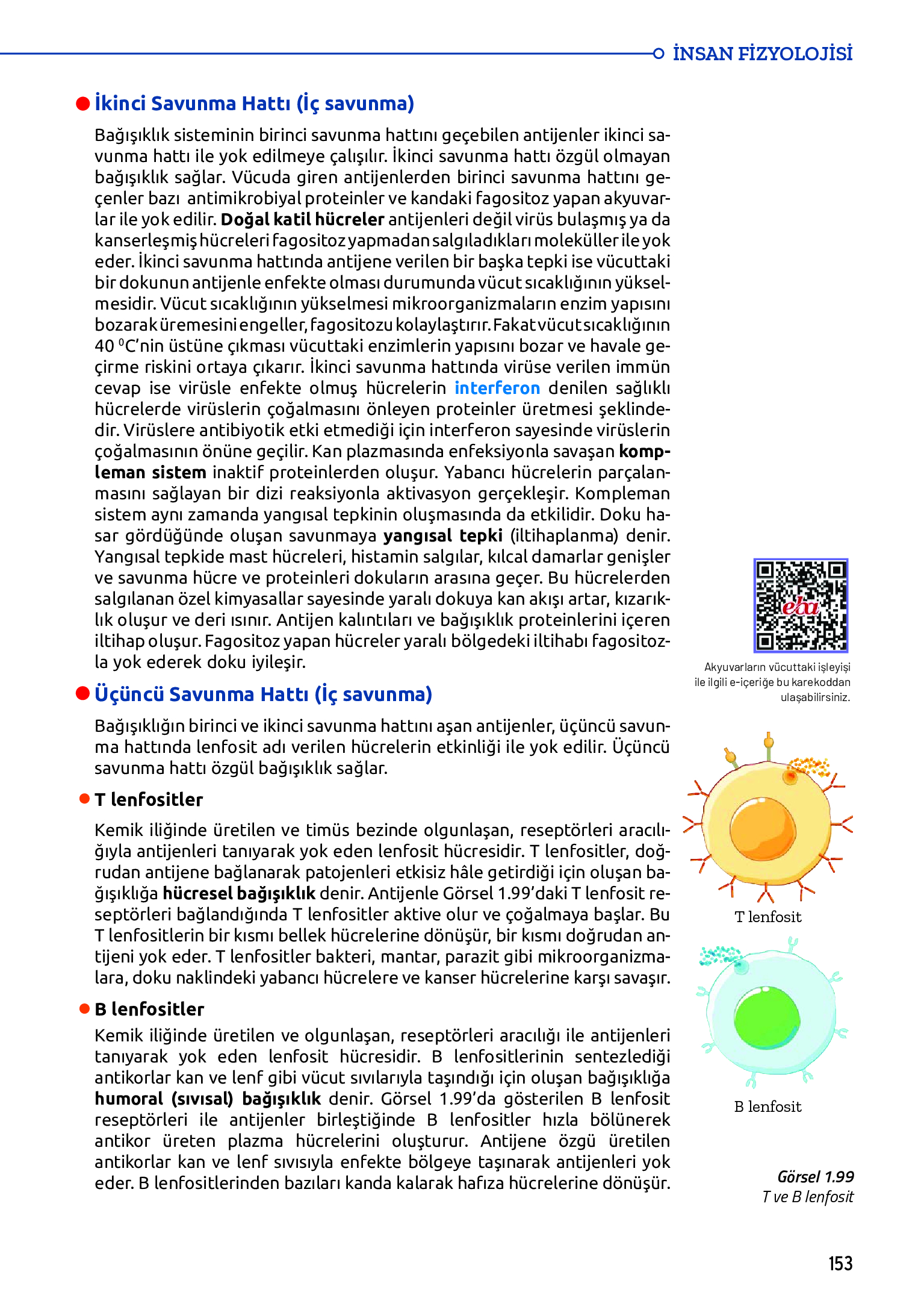 11. Sınıf Meb Yayınları Fen Lisesi Biyoloji Ders Kitabı Sayfa 153 Cevapları