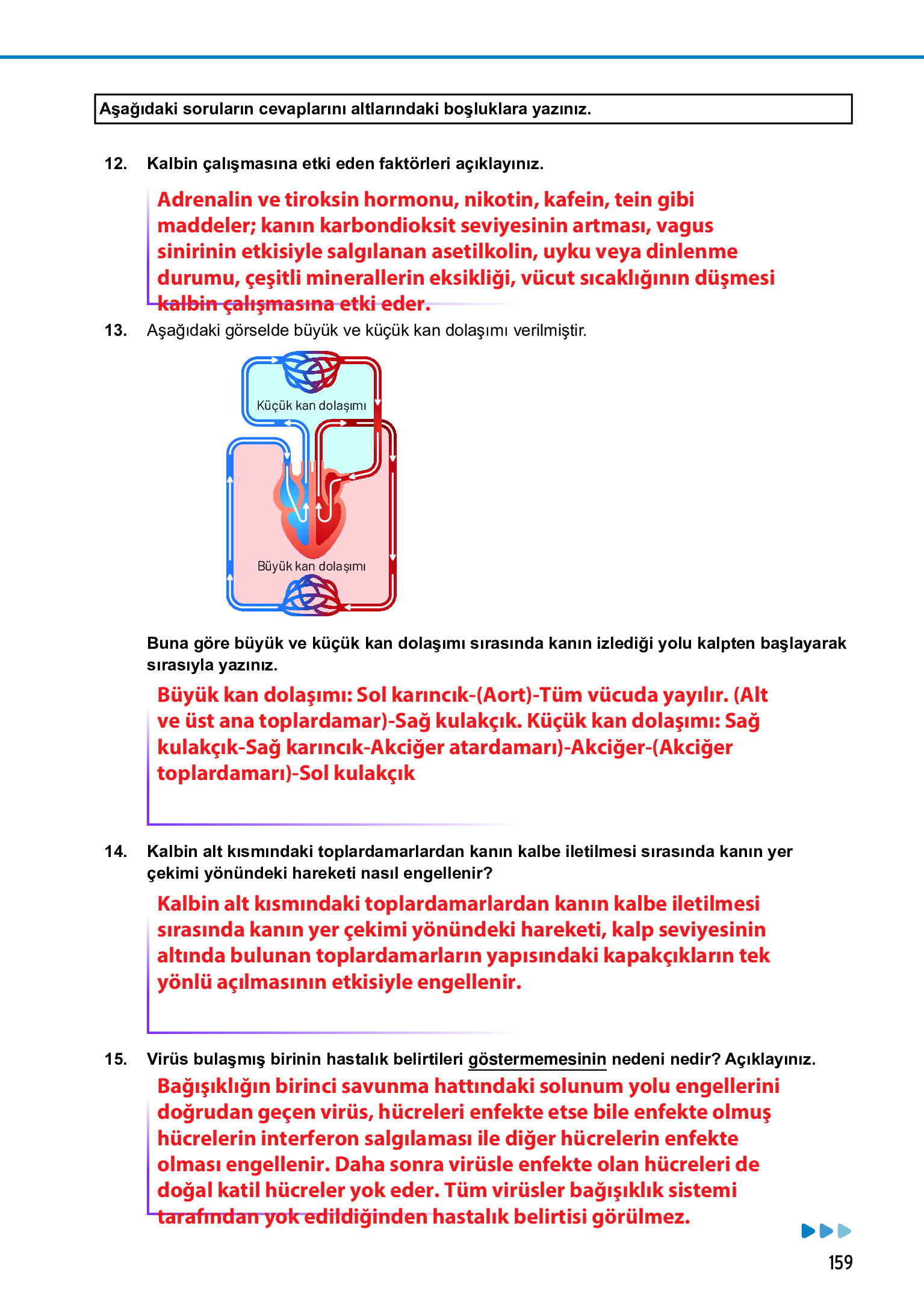 11. Sınıf Meb Yayınları Fen Lisesi Biyoloji Ders Kitabı Sayfa 159 Cevapları