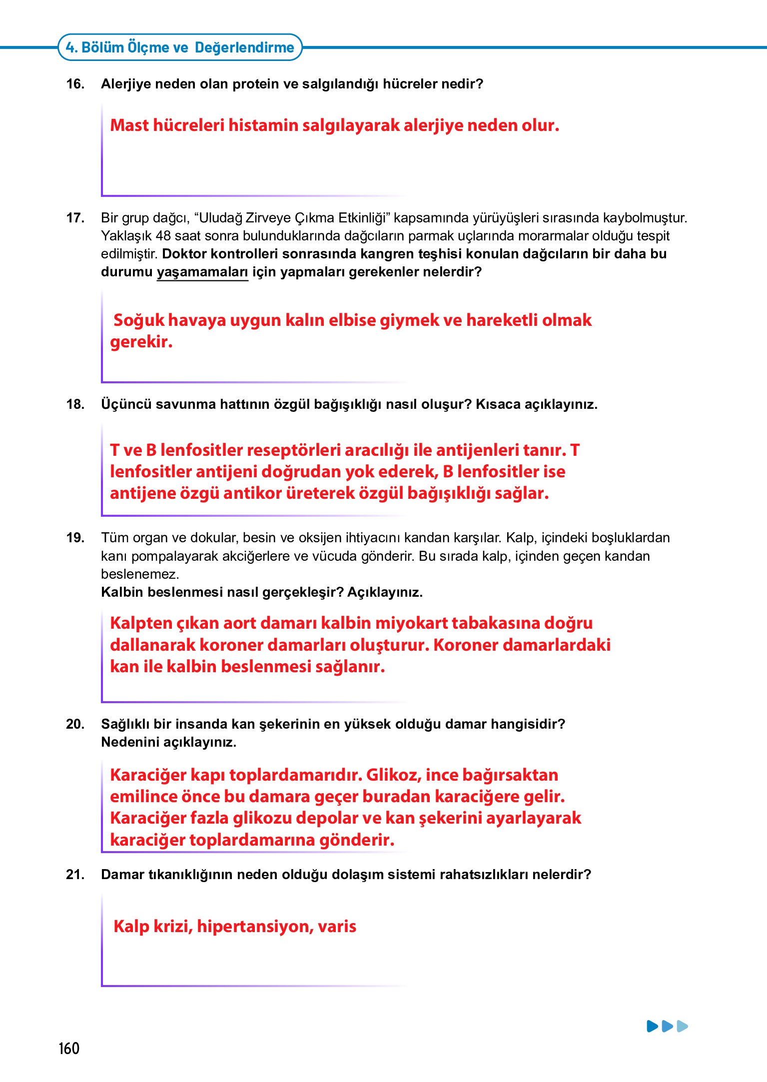 11. Sınıf Meb Yayınları Fen Lisesi Biyoloji Ders Kitabı Sayfa 160 Cevapları 11. Sınıf Meb Yayınları Fen Lisesi Biyoloji Ders Kitabı Sayfa 160 Cevapları