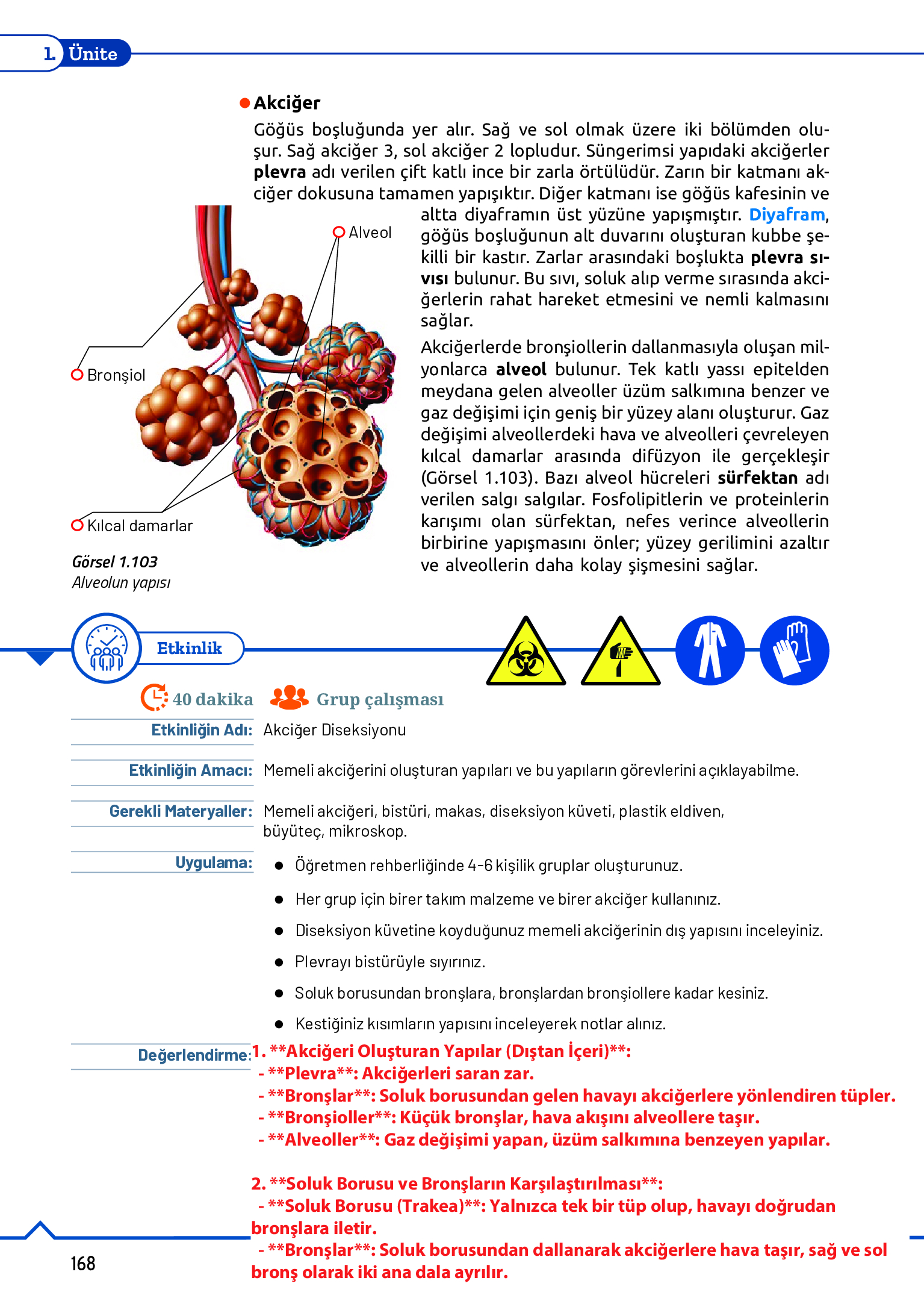 11. Sınıf Meb Yayınları Fen Lisesi Biyoloji Ders Kitabı Sayfa 168 Cevapları 11. Sınıf Meb Yayınları Fen Lisesi Biyoloji Ders Kitabı Sayfa 168 Cevapları