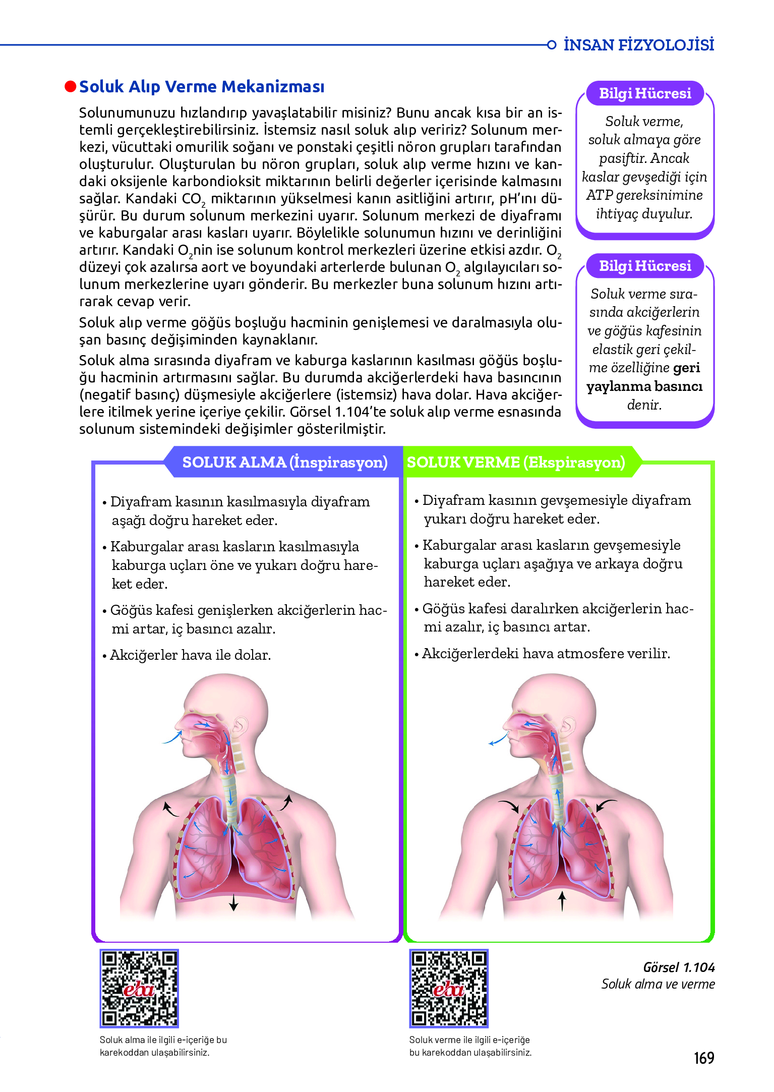 11. Sınıf Meb Yayınları Fen Lisesi Biyoloji Ders Kitabı Sayfa 169 Cevapları