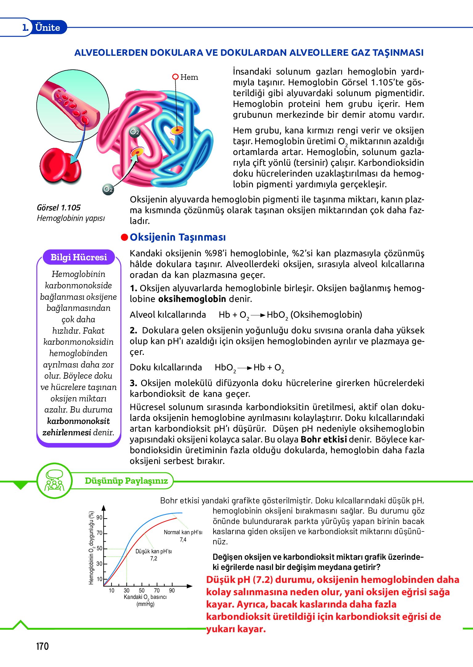 11. Sınıf Meb Yayınları Fen Lisesi Biyoloji Ders Kitabı Sayfa 170 Cevapları 11. Sınıf Meb Yayınları Fen Lisesi Biyoloji Ders Kitabı Sayfa 170 Cevapları