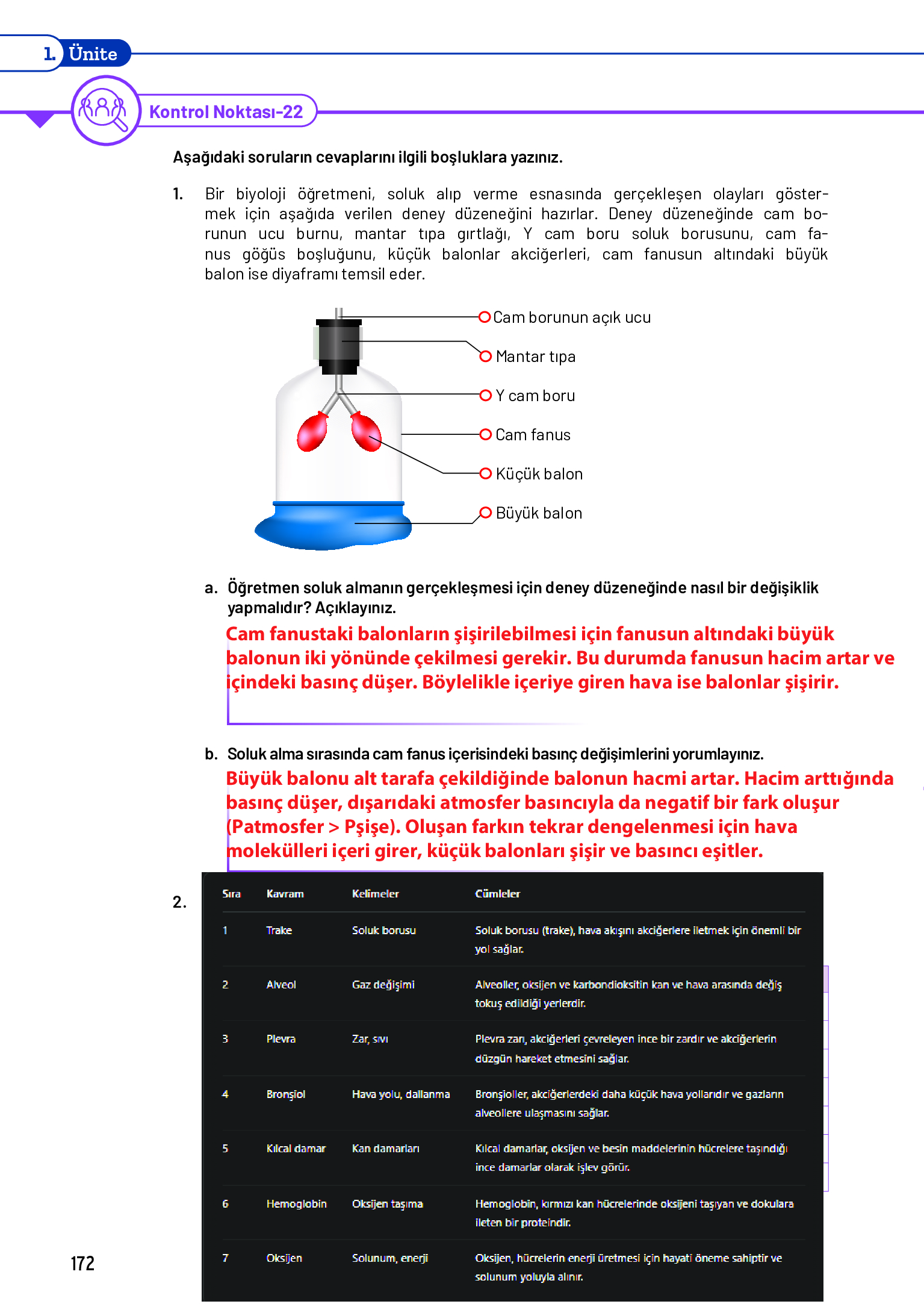 11. Sınıf Meb Yayınları Fen Lisesi Biyoloji Ders Kitabı Sayfa 172 Cevapları 11. Sınıf Meb Yayınları Fen Lisesi Biyoloji Ders Kitabı Sayfa 172 Cevapları