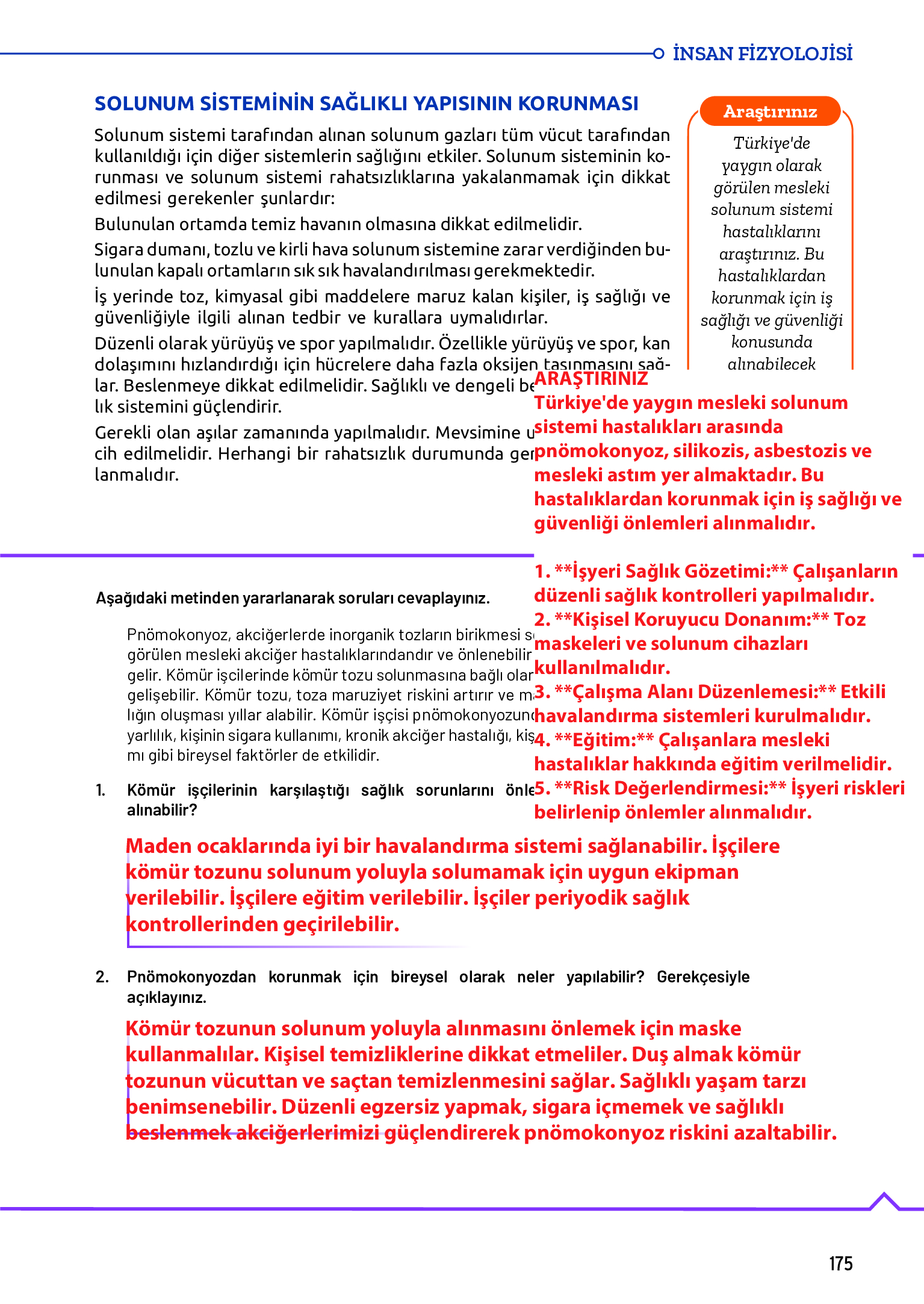 11. Sınıf Meb Yayınları Fen Lisesi Biyoloji Ders Kitabı Sayfa 175 Cevapları