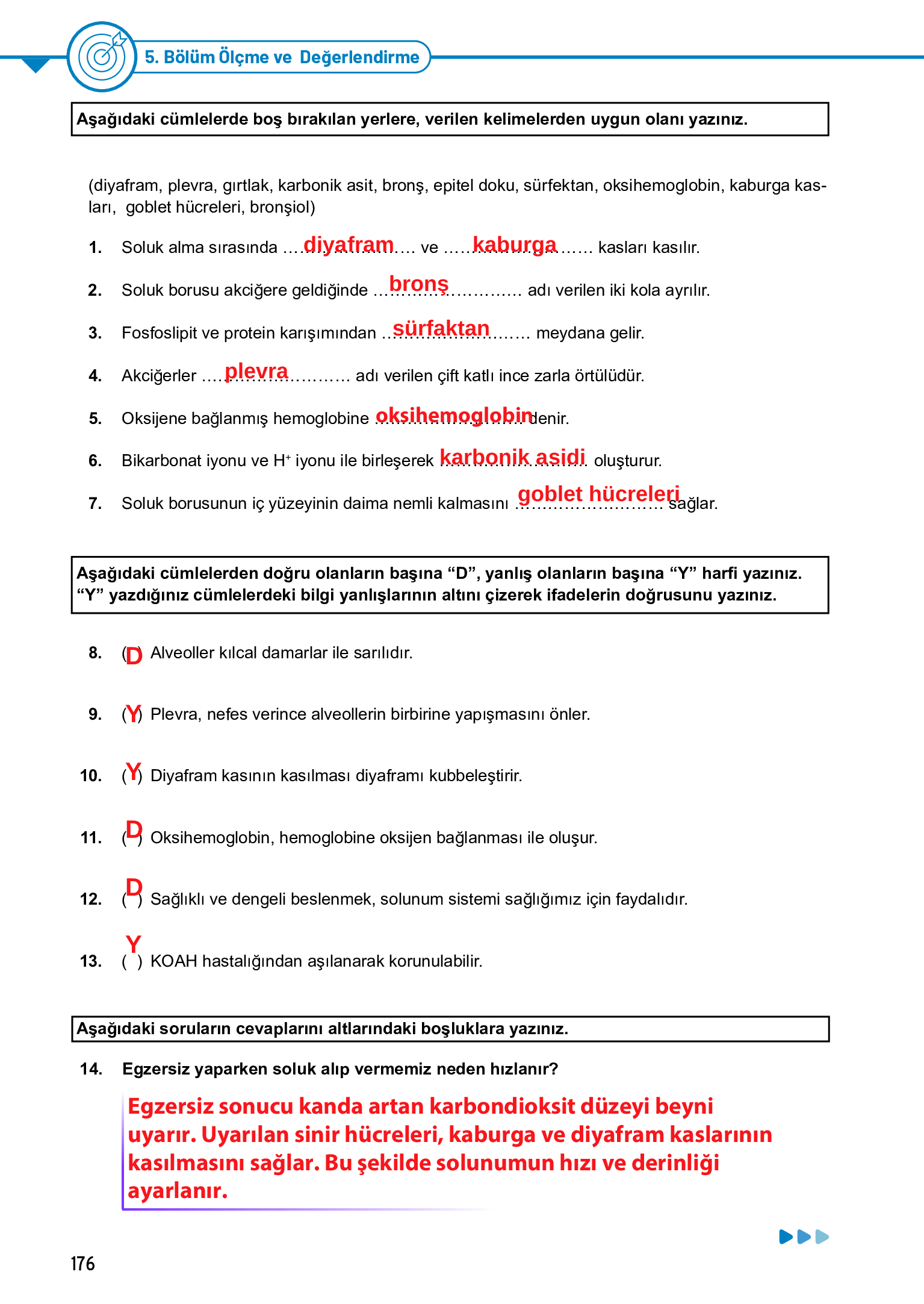 11. Sınıf Meb Yayınları Fen Lisesi Biyoloji Ders Kitabı Sayfa 176 Cevapları