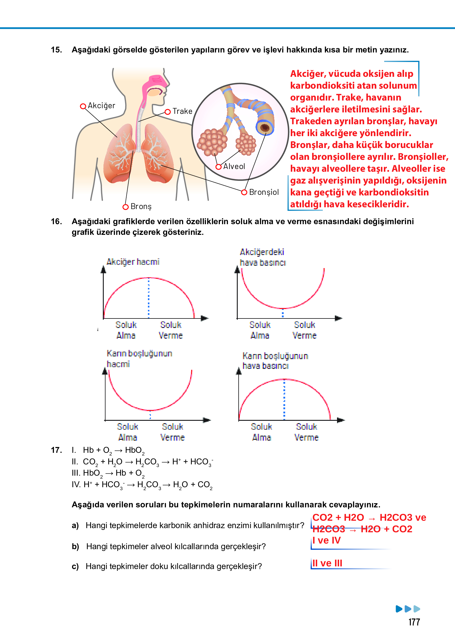 11. Sınıf Meb Yayınları Fen Lisesi Biyoloji Ders Kitabı Sayfa 177 Cevapları 11. Sınıf Meb Yayınları Fen Lisesi Biyoloji Ders Kitabı Sayfa 177 Cevapları