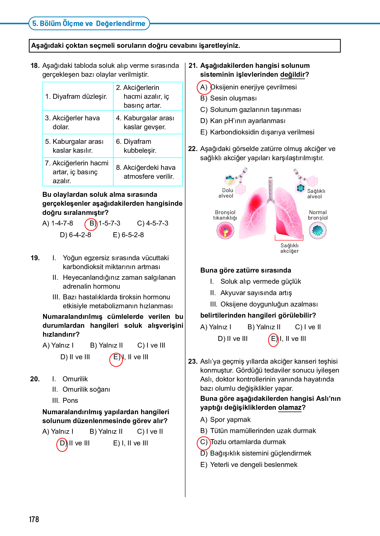 11. Sınıf Meb Yayınları Fen Lisesi Biyoloji Ders Kitabı Sayfa 178 Cevapları 11. Sınıf Meb Yayınları Fen Lisesi Biyoloji Ders Kitabı Sayfa 178 Cevapları
