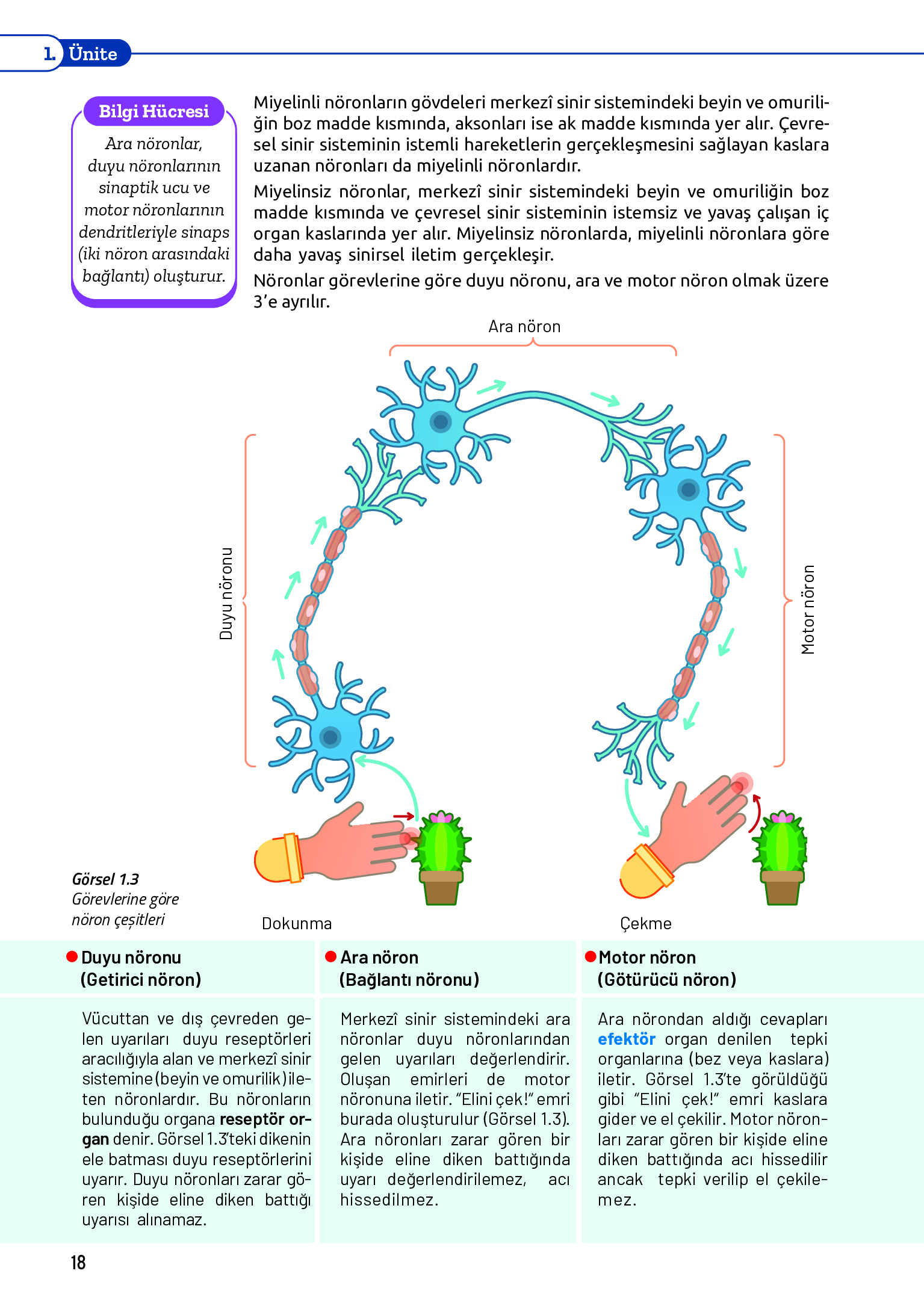 11. Sınıf Meb Yayınları Fen Lisesi Biyoloji Ders Kitabı Sayfa 18 Cevapları 11. Sınıf Meb Yayınları Fen Lisesi Biyoloji Ders Kitabı Sayfa 18 Cevapları