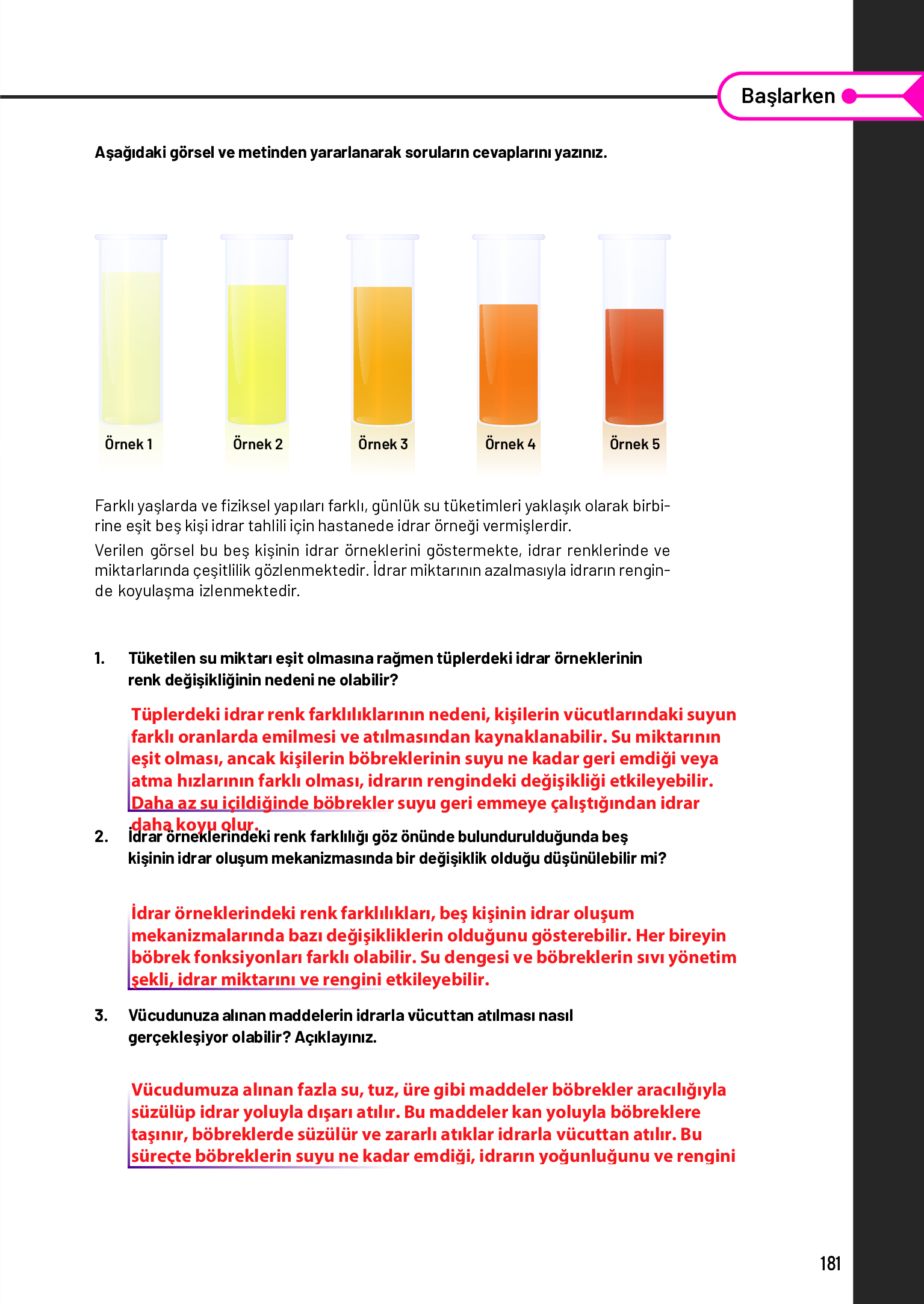 11. Sınıf Meb Yayınları Fen Lisesi Biyoloji Ders Kitabı Sayfa 181 Cevapları 11. Sınıf Meb Yayınları Fen Lisesi Biyoloji Ders Kitabı Sayfa 181 Cevapları