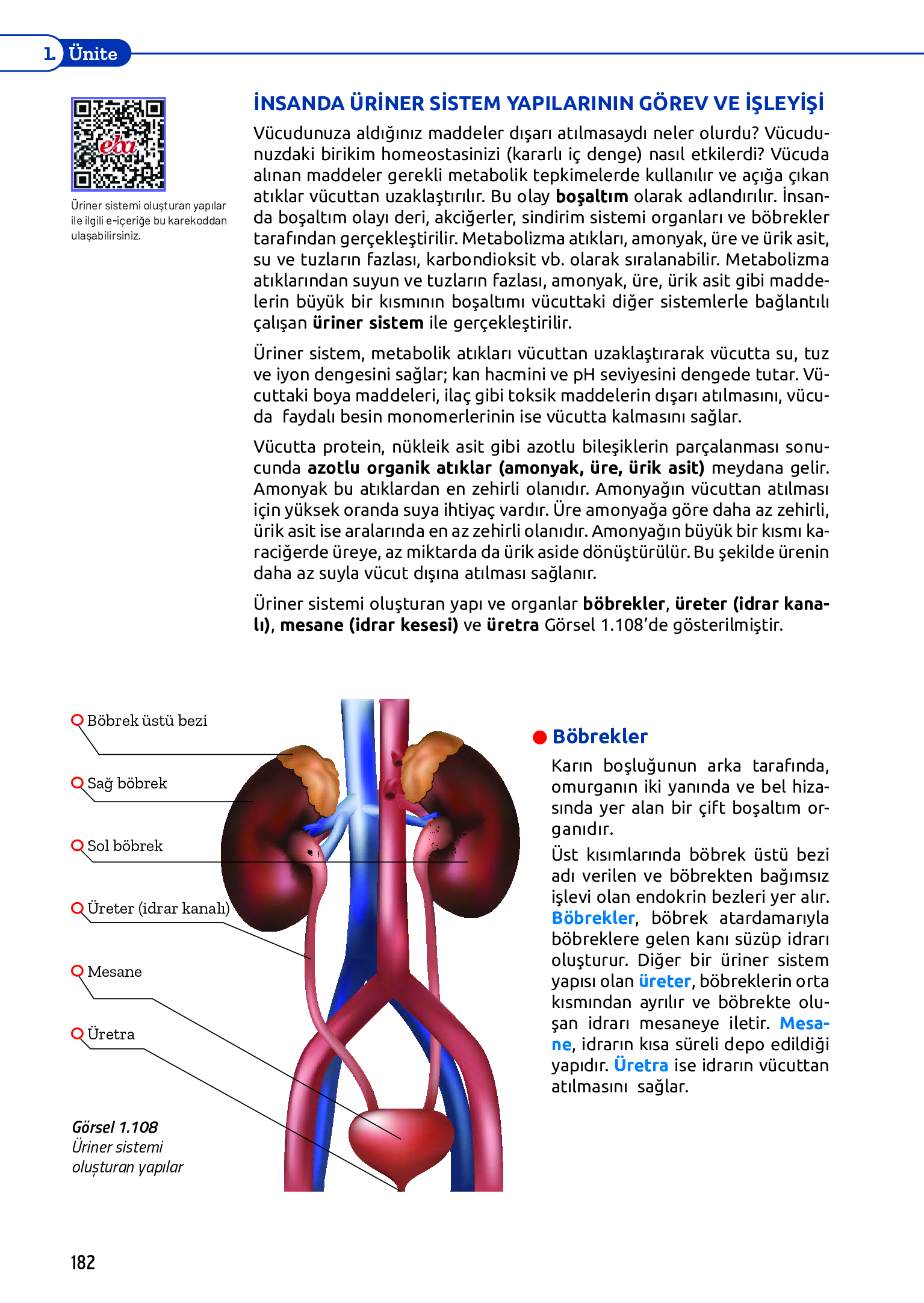 11. Sınıf Meb Yayınları Fen Lisesi Biyoloji Ders Kitabı Sayfa 182 Cevapları