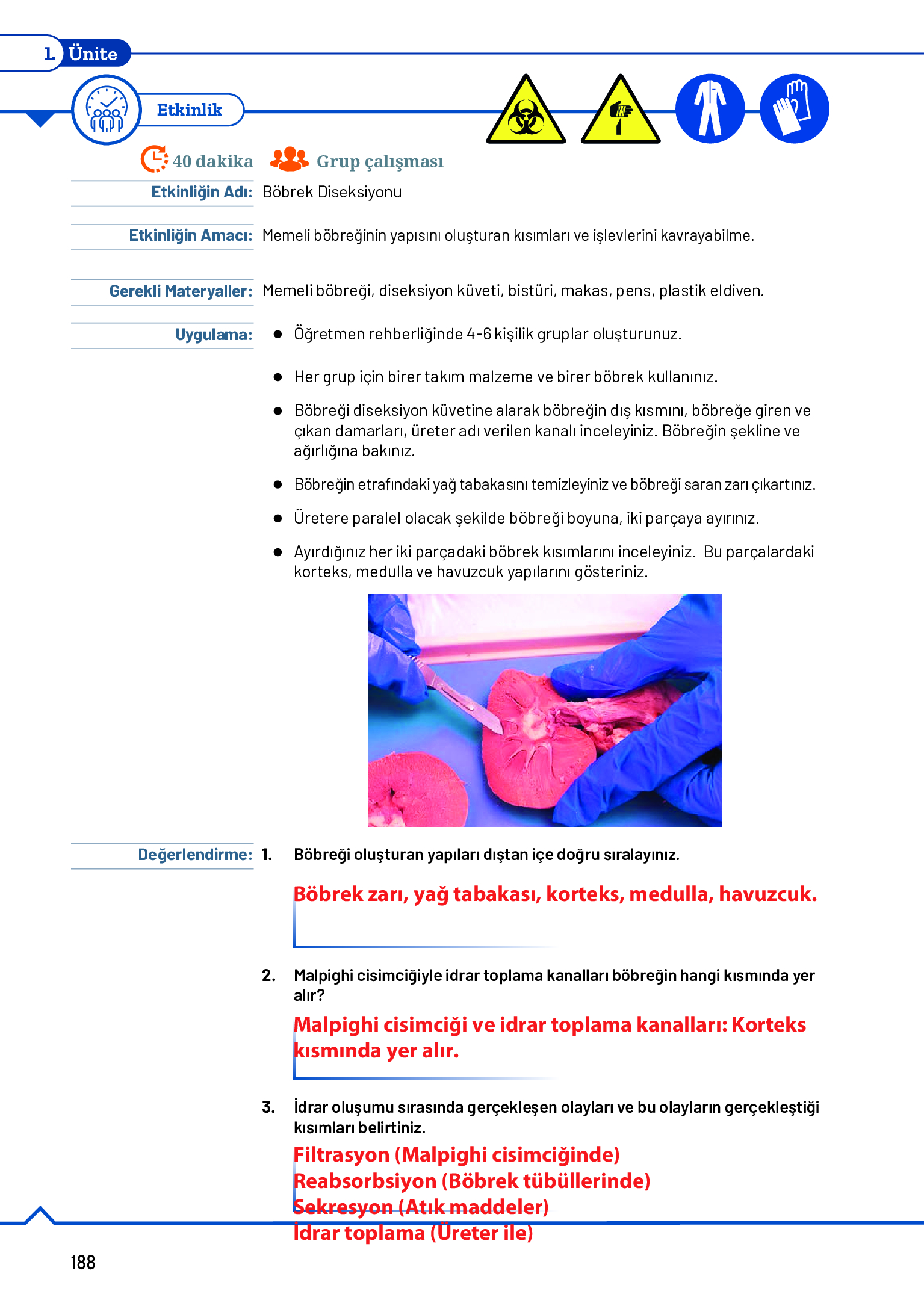 11. Sınıf Meb Yayınları Fen Lisesi Biyoloji Ders Kitabı Sayfa 188 Cevapları 11. Sınıf Meb Yayınları Fen Lisesi Biyoloji Ders Kitabı Sayfa 188 Cevapları