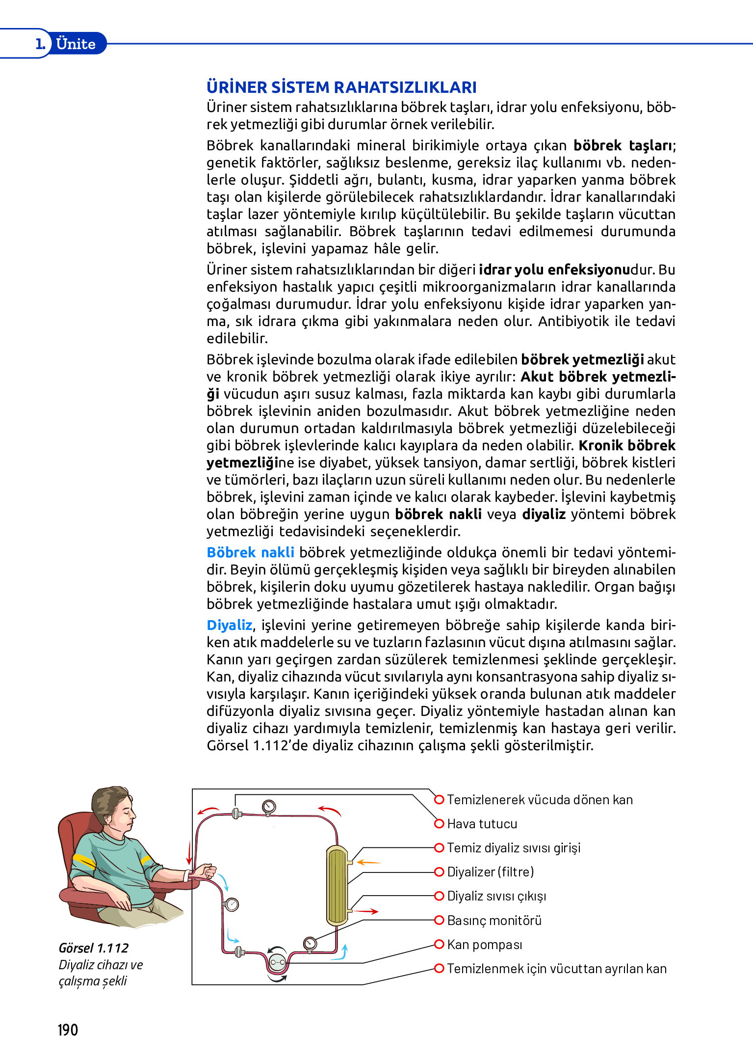 11. Sınıf Meb Yayınları Fen Lisesi Biyoloji Ders Kitabı Sayfa 190 Cevapları