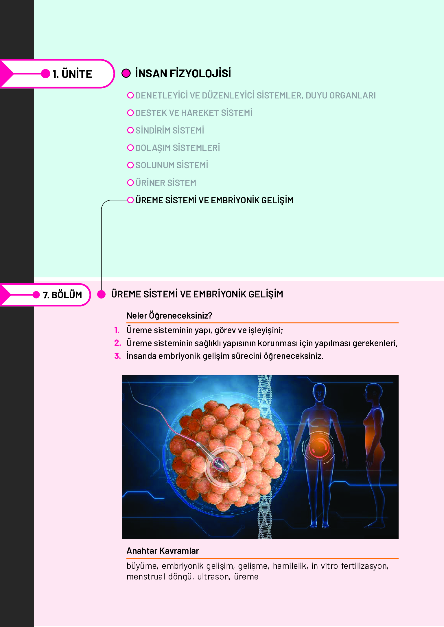 11. Sınıf Meb Yayınları Fen Lisesi Biyoloji Ders Kitabı Sayfa 196 Cevapları