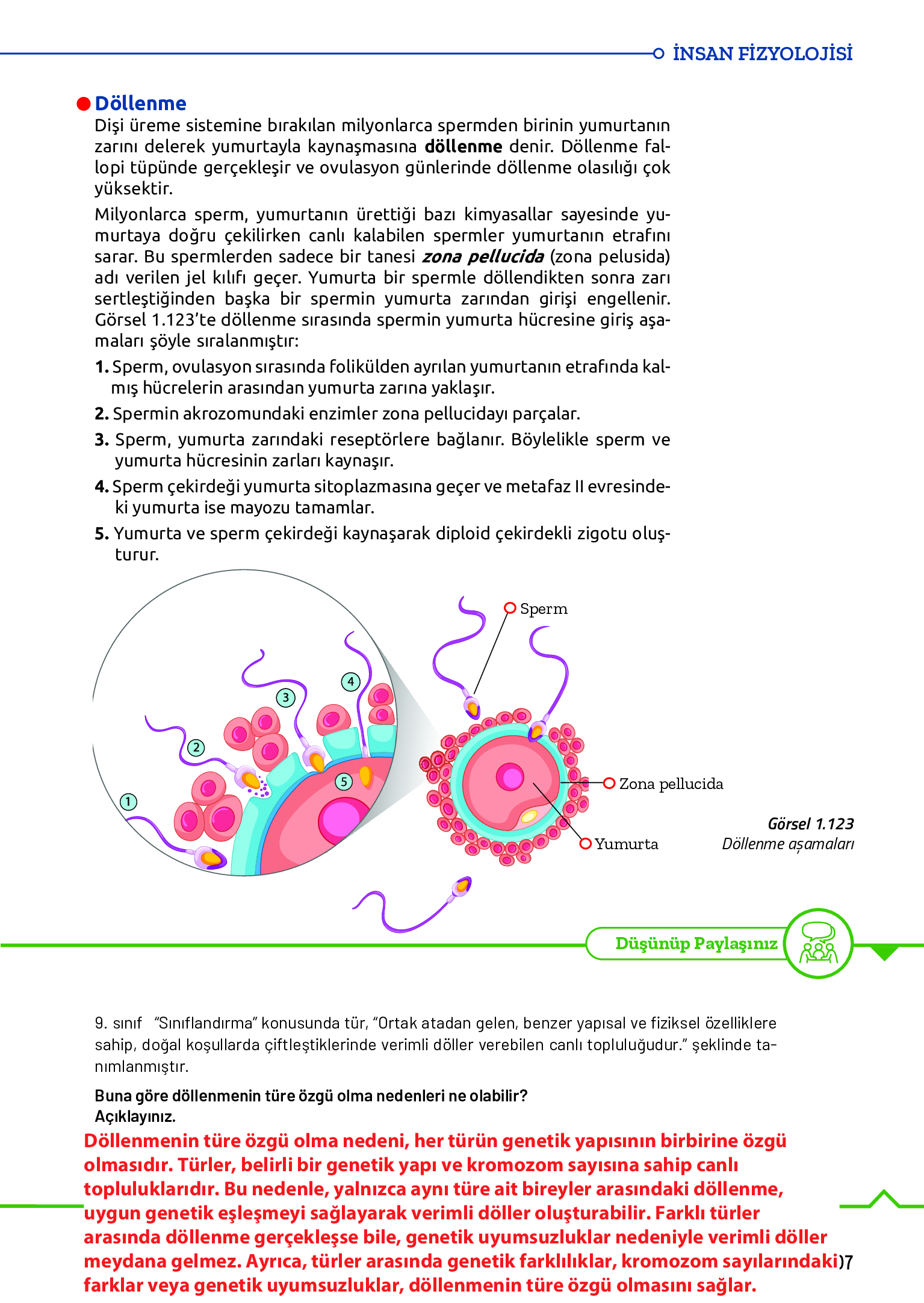 11. Sınıf Meb Yayınları Fen Lisesi Biyoloji Ders Kitabı Sayfa 207 Cevapları 11. Sınıf Meb Yayınları Fen Lisesi Biyoloji Ders Kitabı Sayfa 207 Cevapları