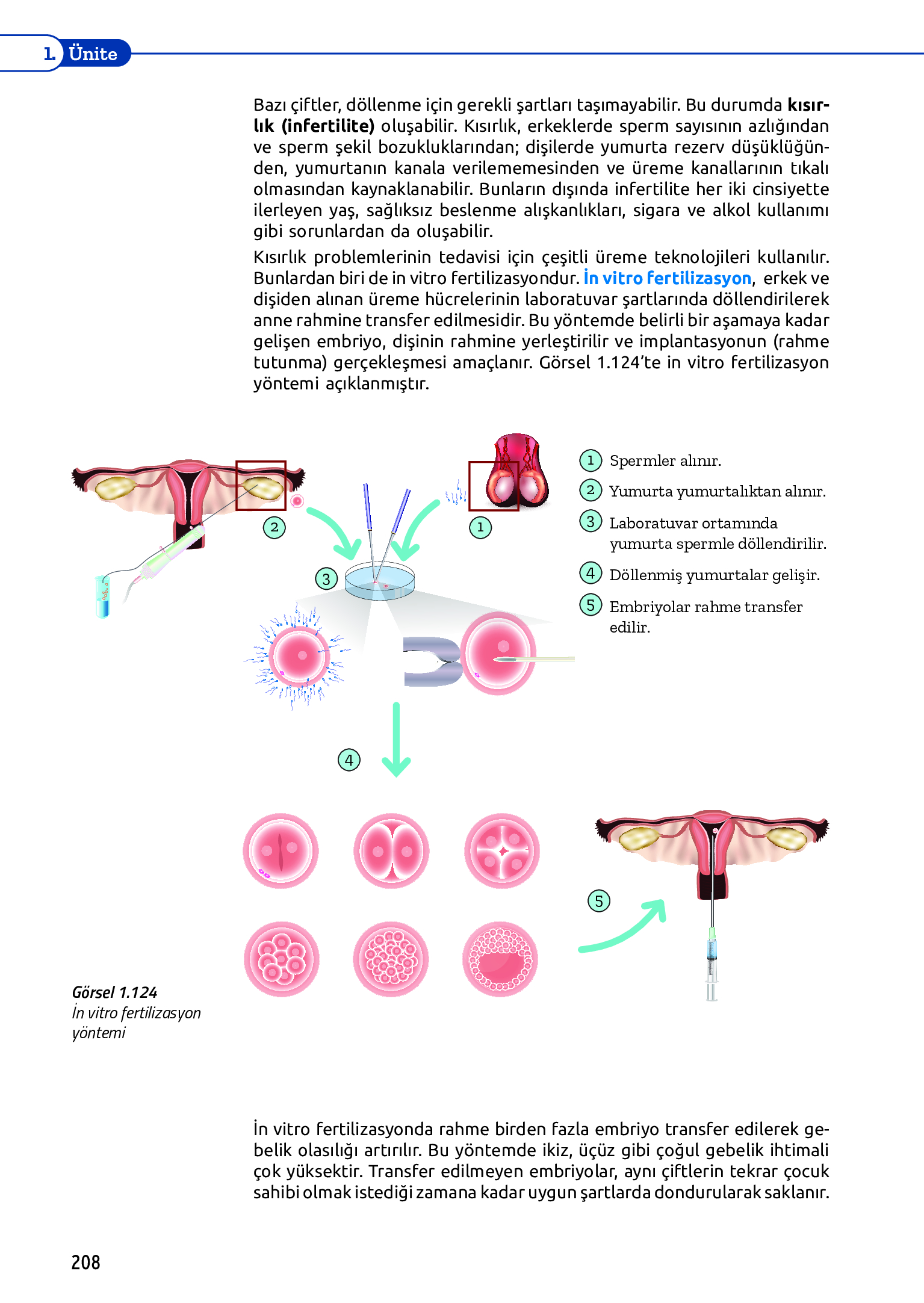 11. Sınıf Meb Yayınları Fen Lisesi Biyoloji Ders Kitabı Sayfa 208 Cevapları