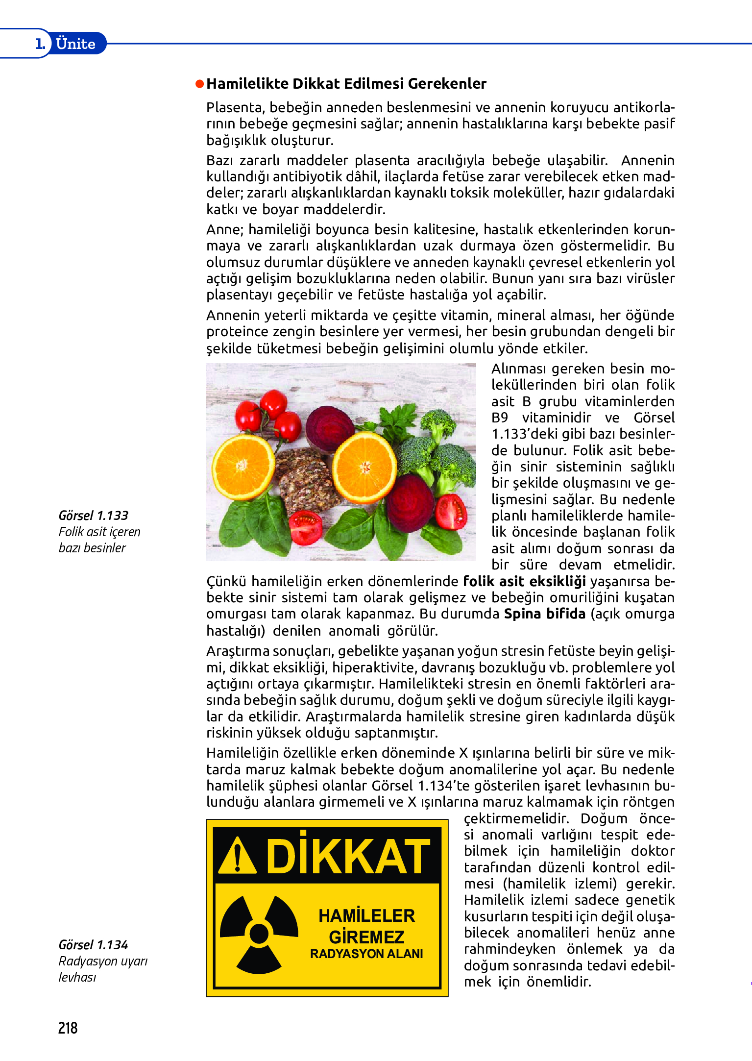 11. Sınıf Meb Yayınları Fen Lisesi Biyoloji Ders Kitabı Sayfa 218 Cevapları 11. Sınıf Meb Yayınları Fen Lisesi Biyoloji Ders Kitabı Sayfa 218 Cevapları