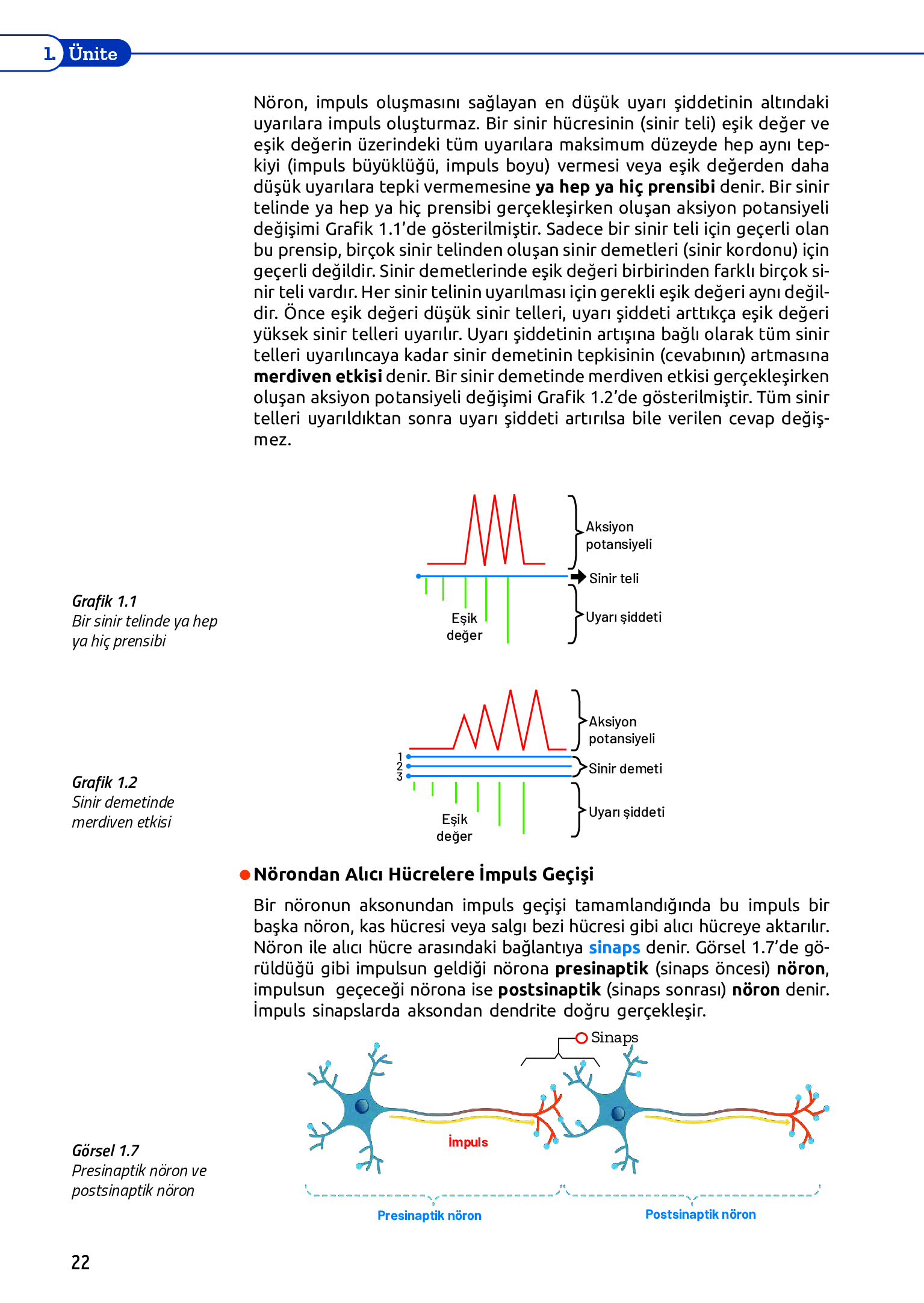 11. Sınıf Meb Yayınları Fen Lisesi Biyoloji Ders Kitabı Sayfa 22 Cevapları