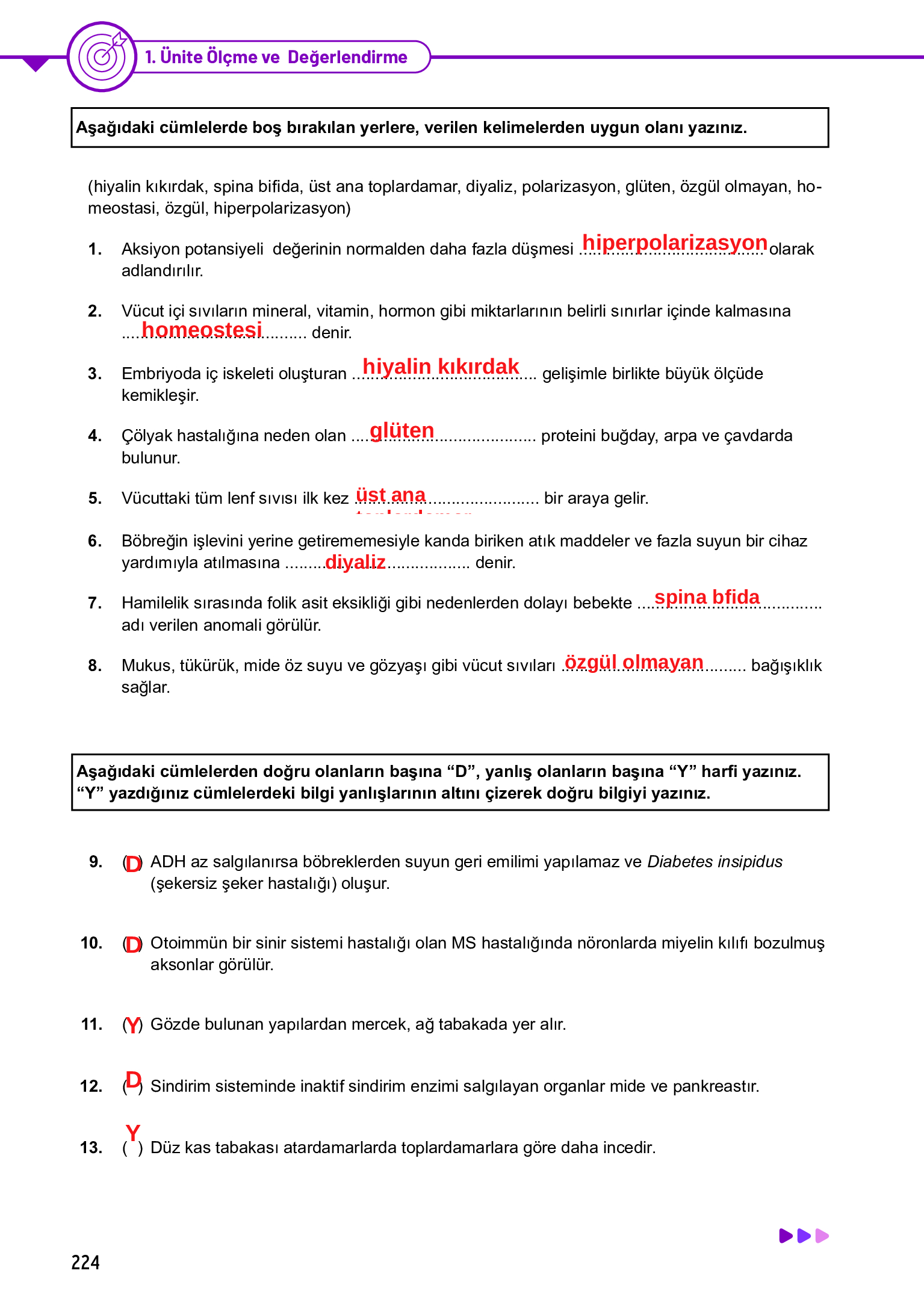 11. Sınıf Meb Yayınları Fen Lisesi Biyoloji Ders Kitabı Sayfa 224 Cevapları 11. Sınıf Meb Yayınları Fen Lisesi Biyoloji Ders Kitabı Sayfa 224 Cevapları