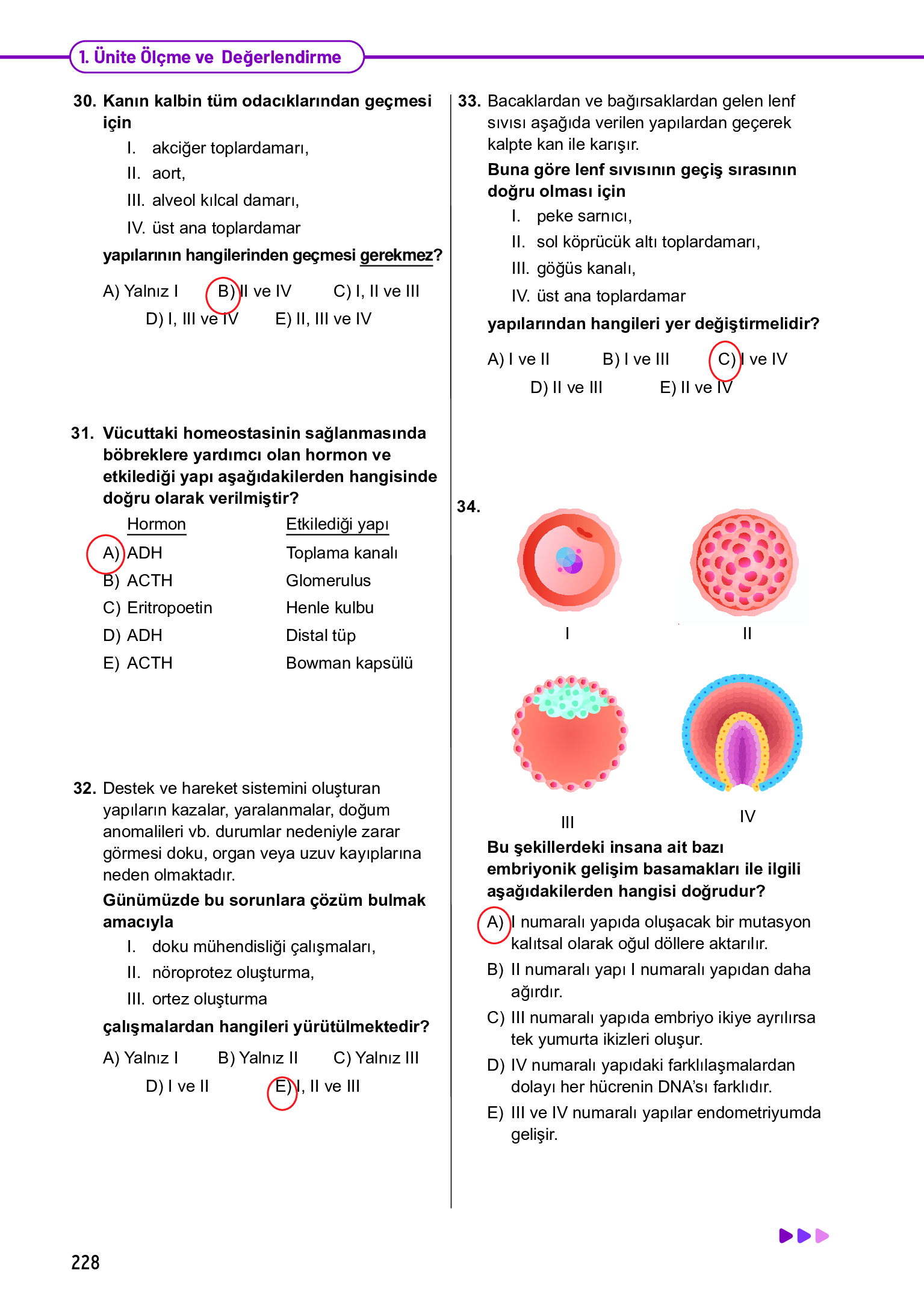 11. Sınıf Meb Yayınları Fen Lisesi Biyoloji Ders Kitabı Sayfa 228 Cevapları 11. Sınıf Meb Yayınları Fen Lisesi Biyoloji Ders Kitabı Sayfa 228 Cevapları