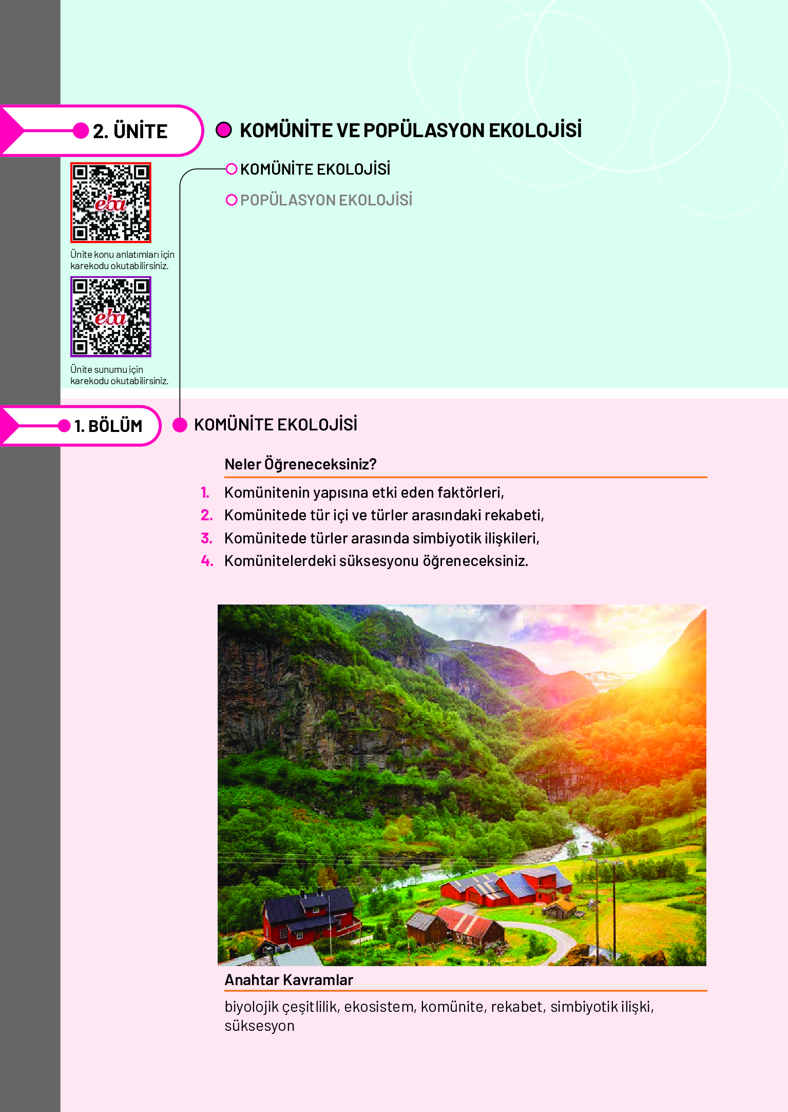 11. Sınıf Meb Yayınları Fen Lisesi Biyoloji Ders Kitabı Sayfa 230 Cevapları 11. Sınıf Meb Yayınları Fen Lisesi Biyoloji Ders Kitabı Sayfa 230 Cevapları