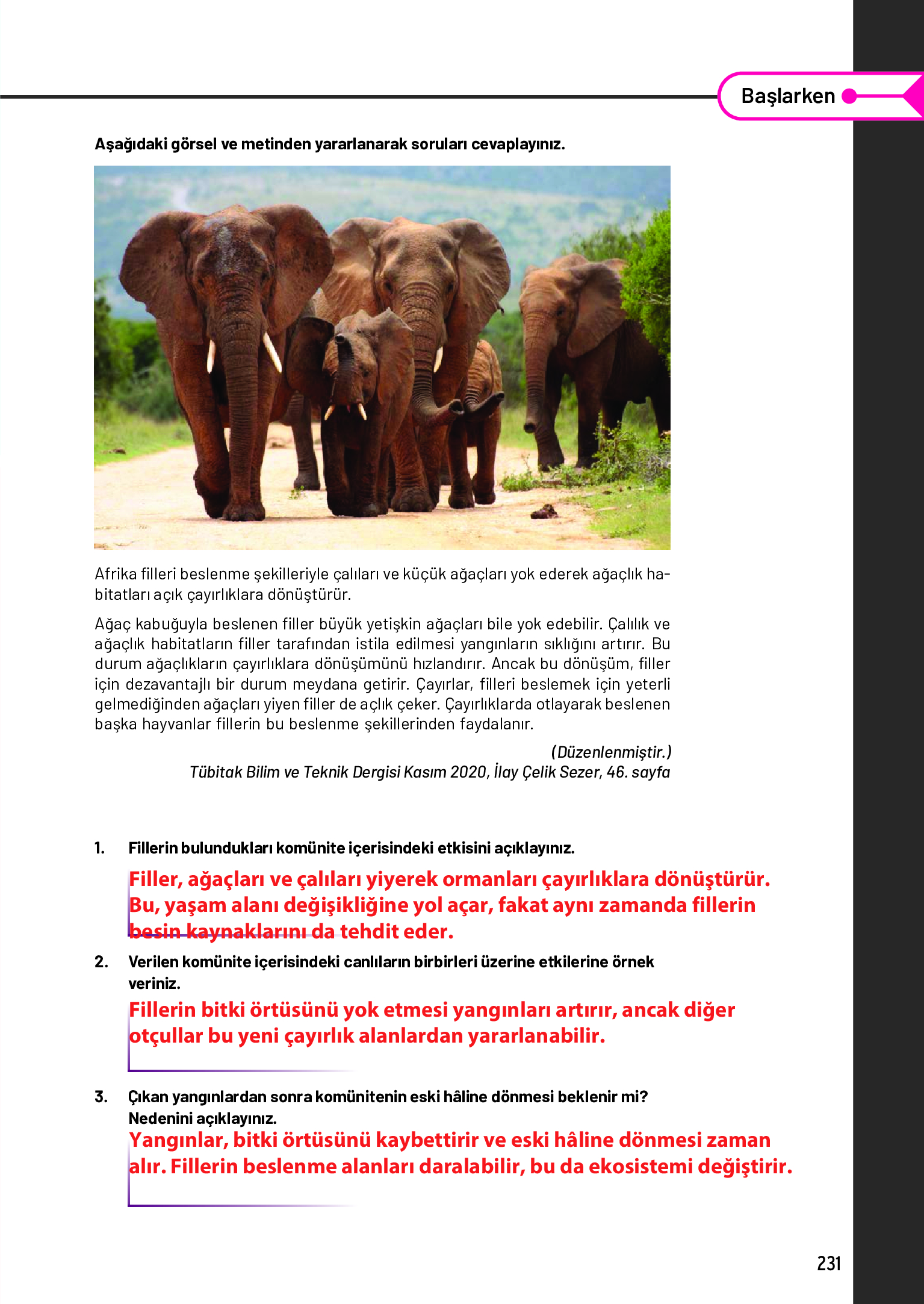 11. Sınıf Meb Yayınları Fen Lisesi Biyoloji Ders Kitabı Sayfa 231 Cevapları 11. Sınıf Meb Yayınları Fen Lisesi Biyoloji Ders Kitabı Sayfa 231 Cevapları